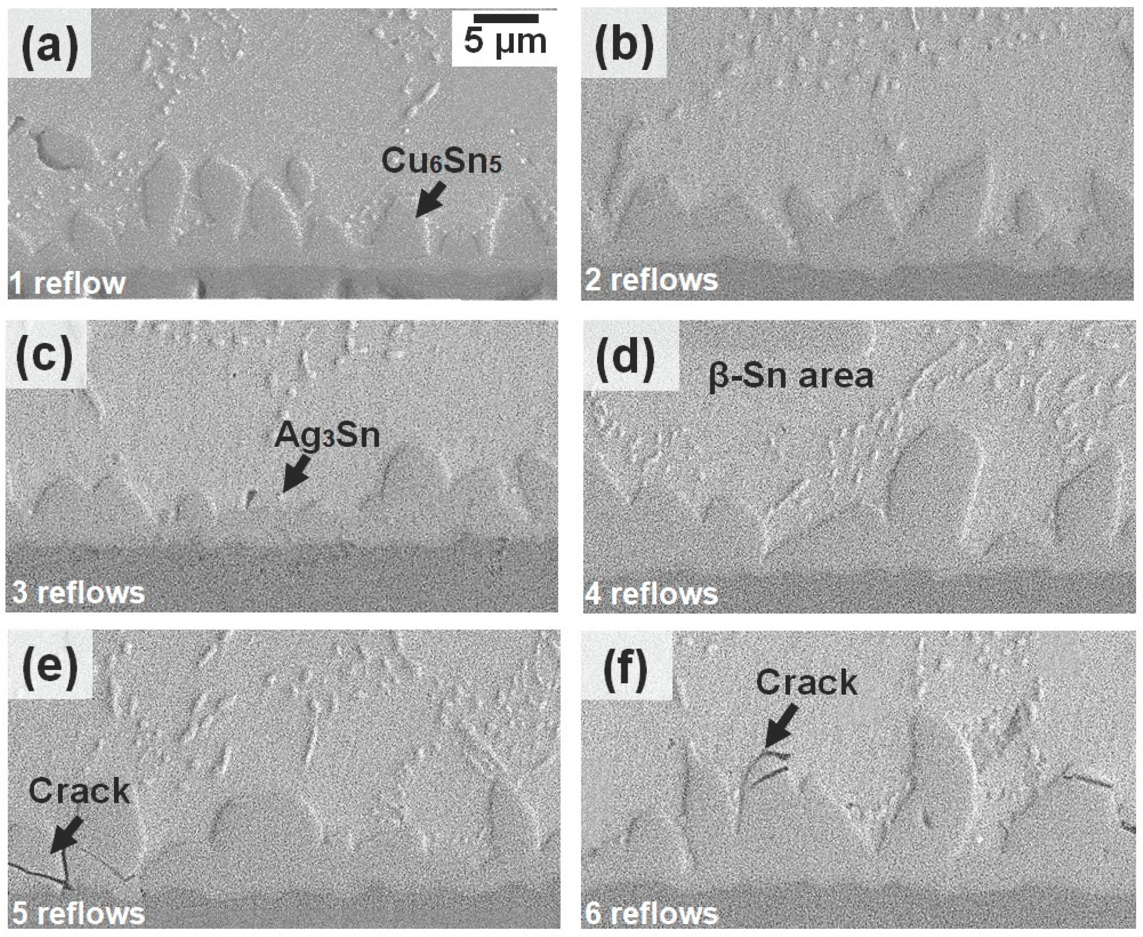 Materials 16 04360 g008