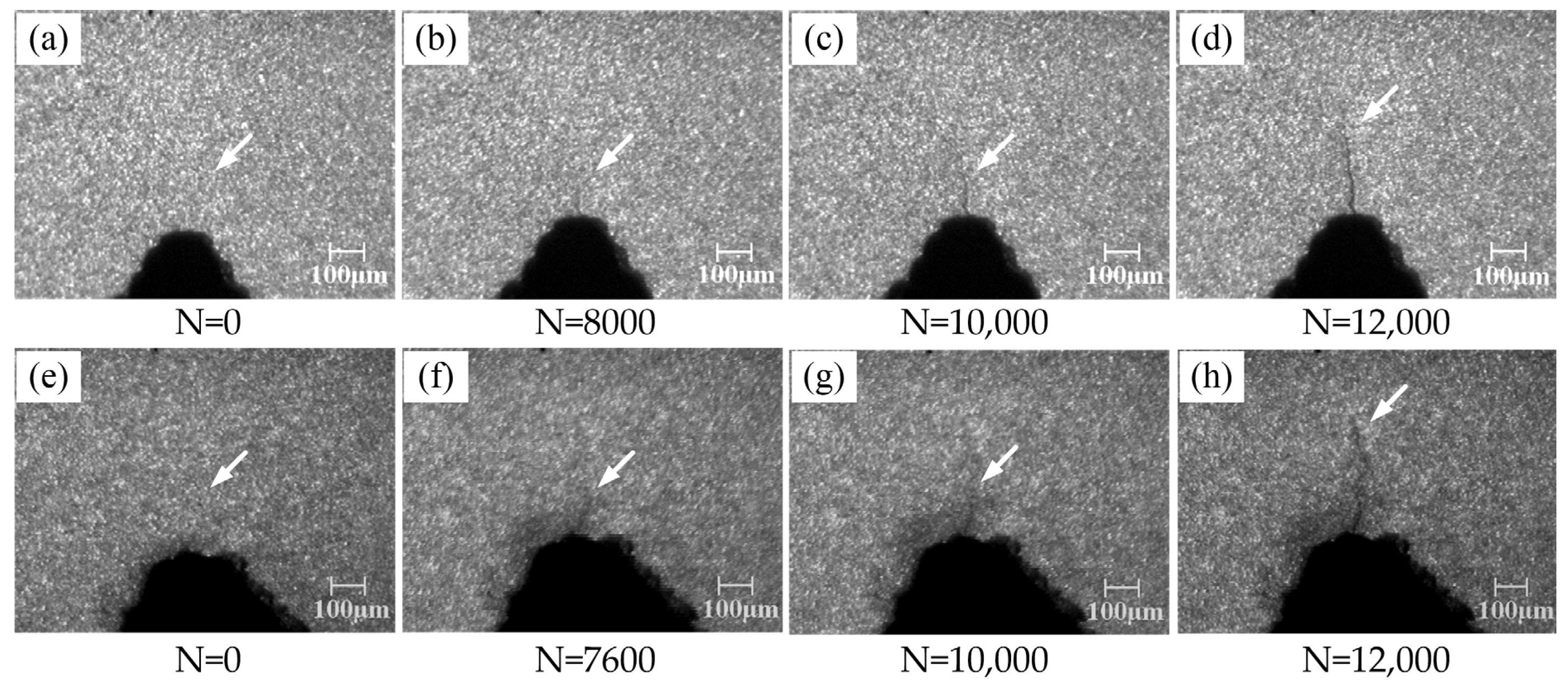 Materials 16 04362 g004 550