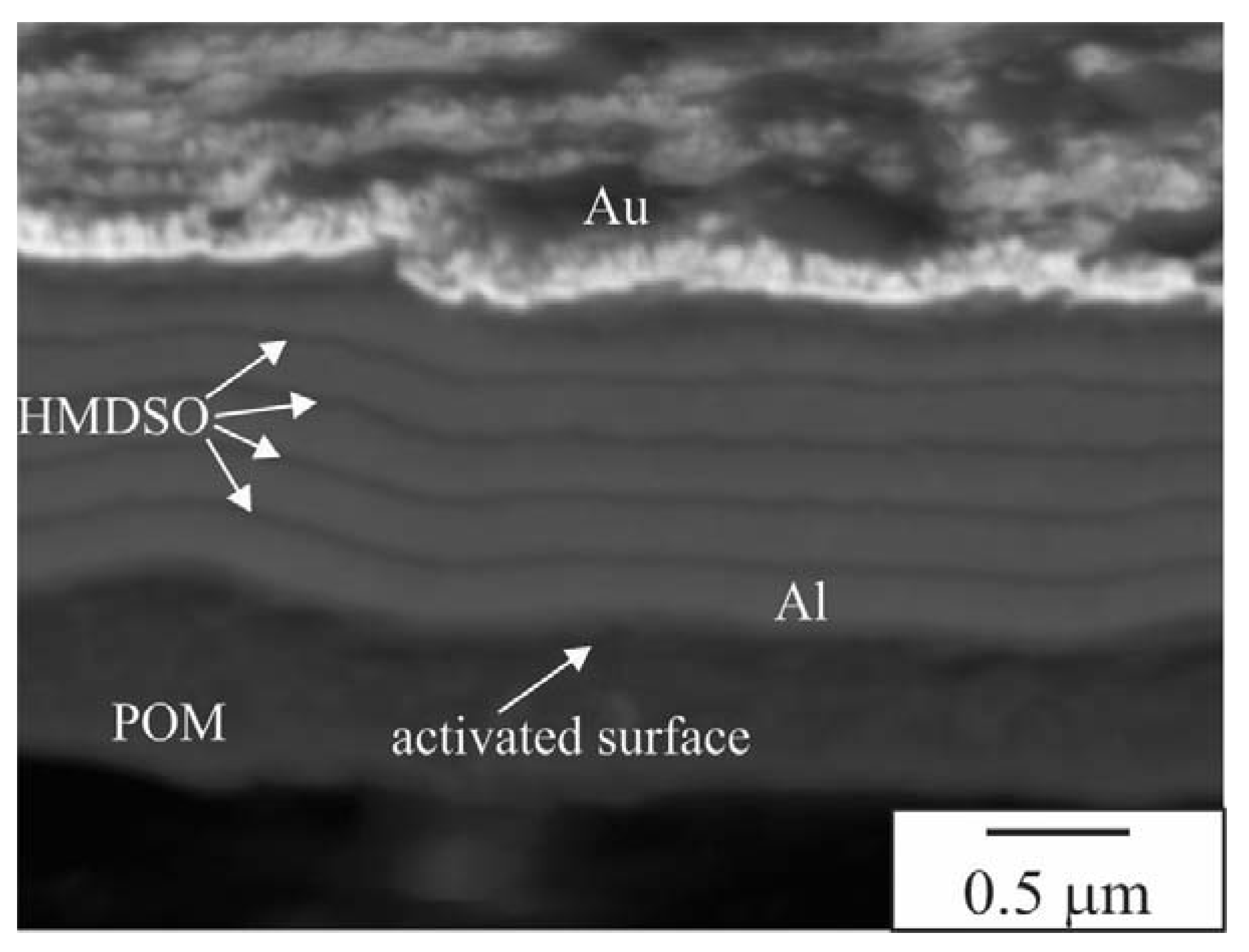 Materials 16 04365 g003