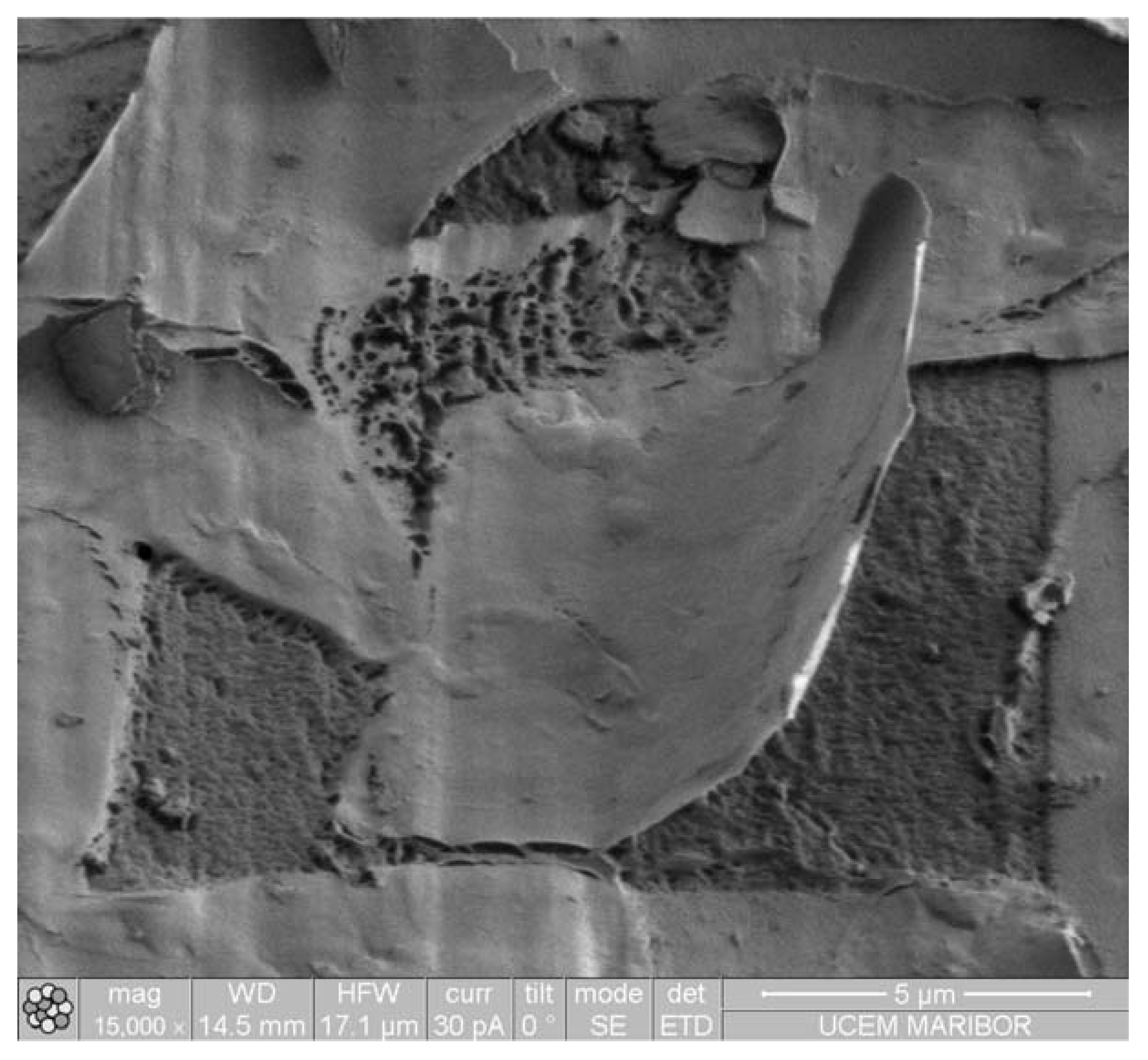 Materials 16 04365 g005