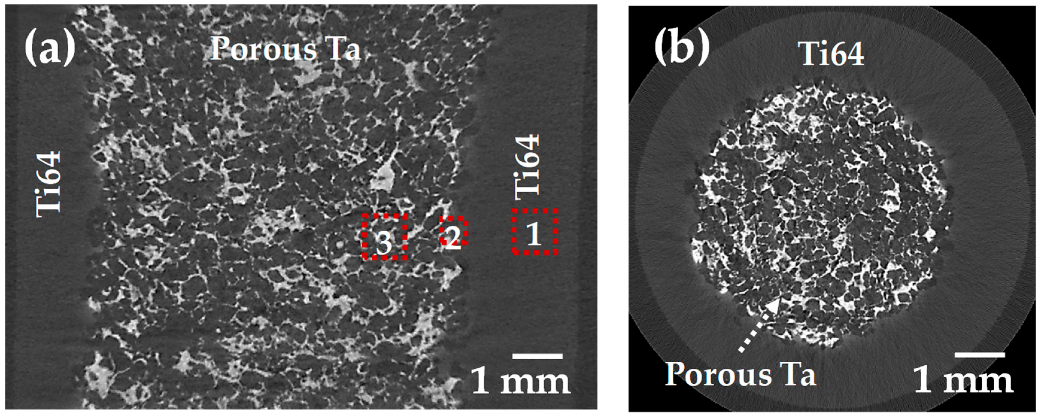 Materials 16 04372 g004 Materials 16 04372 g004