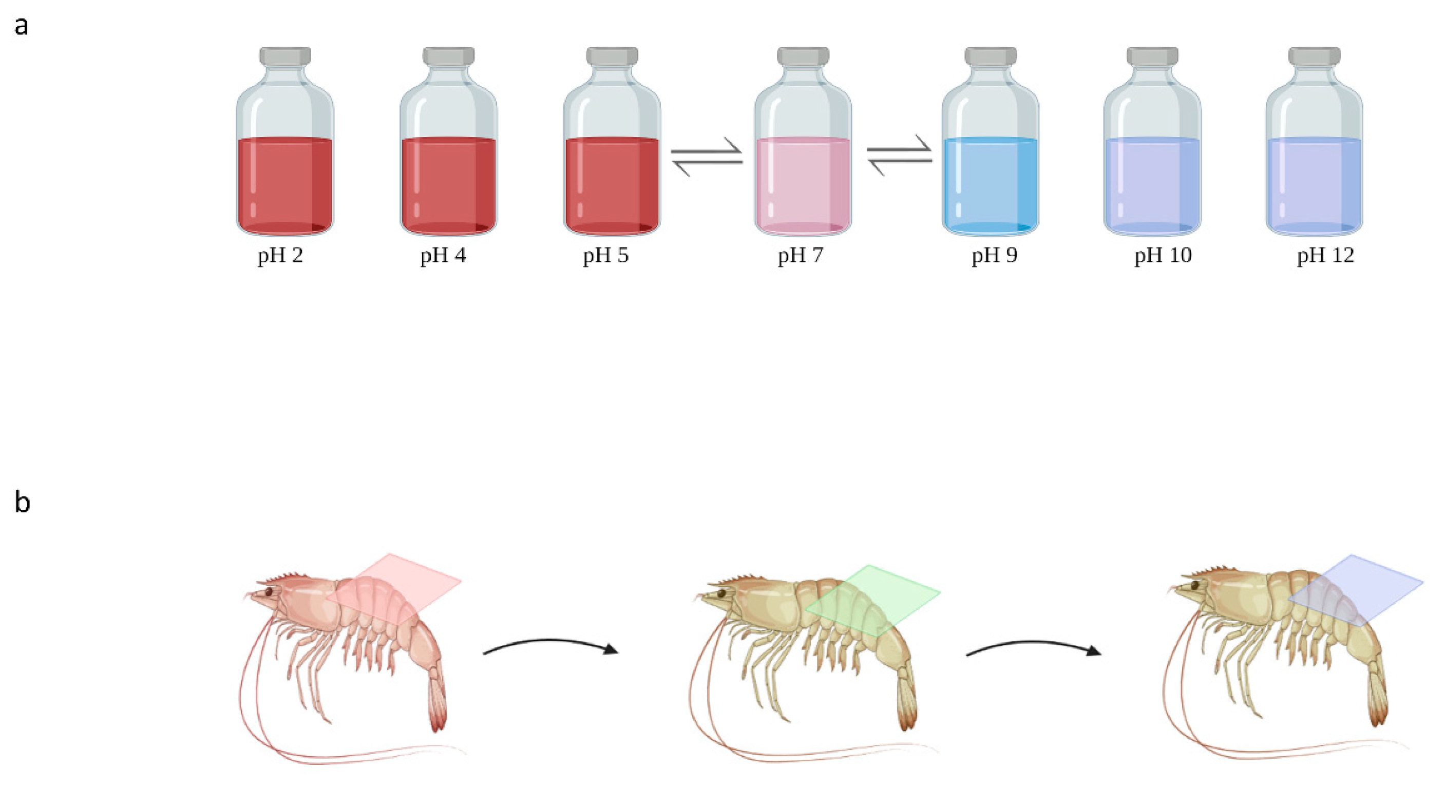 Materials 16 04377 g003 Materials 16 04377 g003