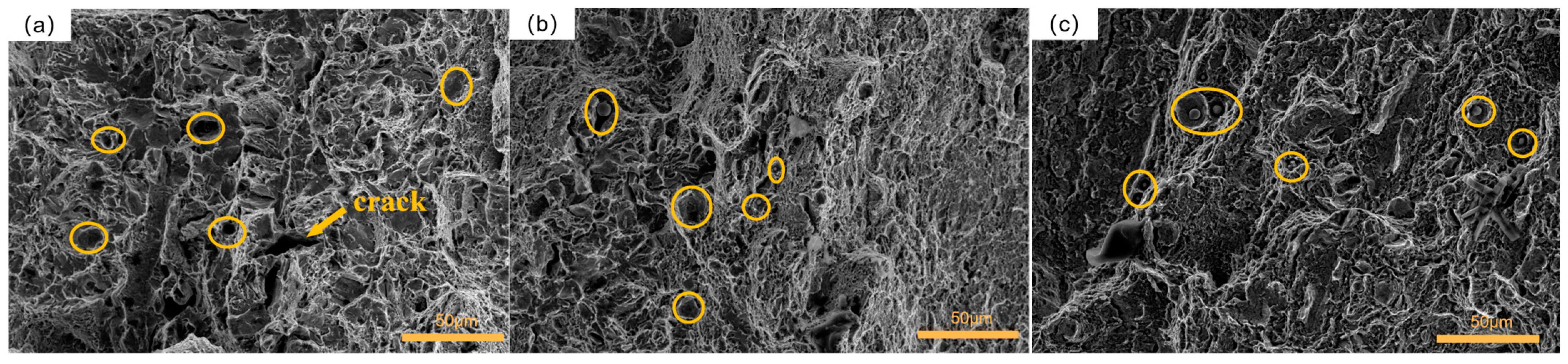 Materials 16 04399 g015