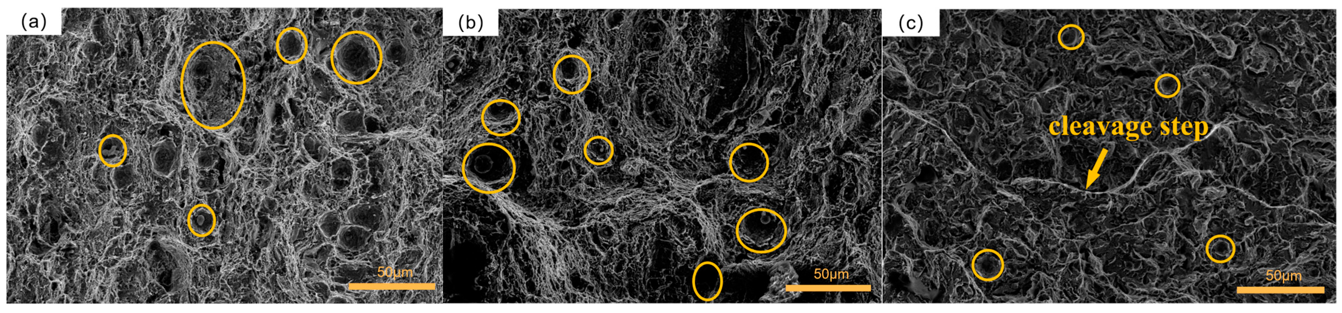 Materials 16 04399 g016