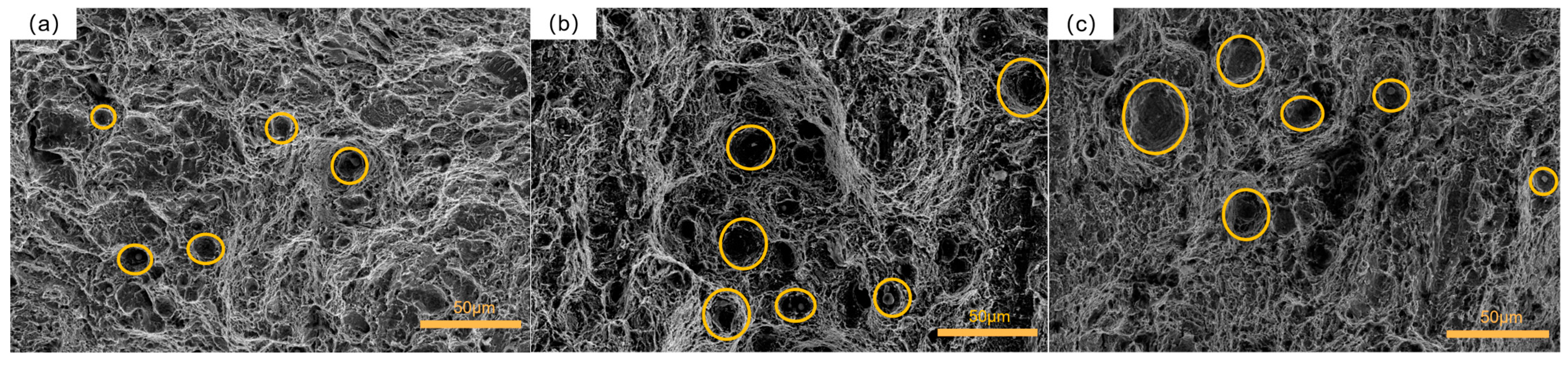 Materials 16 04399 g017