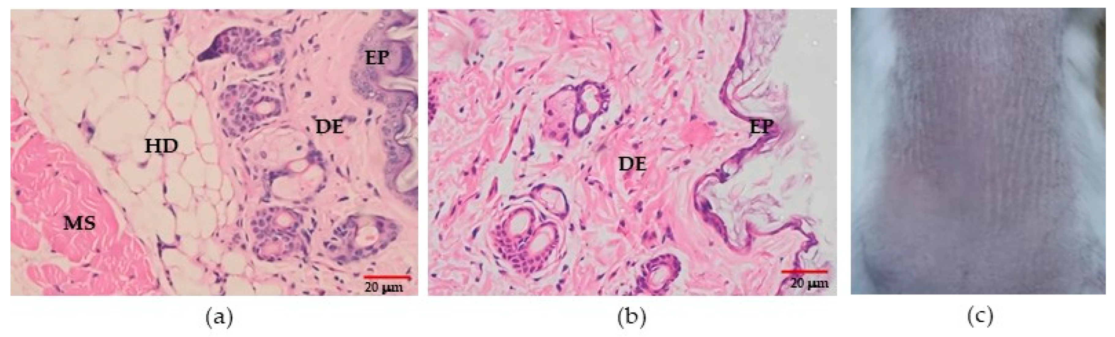 Materials 16 04402 g007 Materials 16 04402 g007