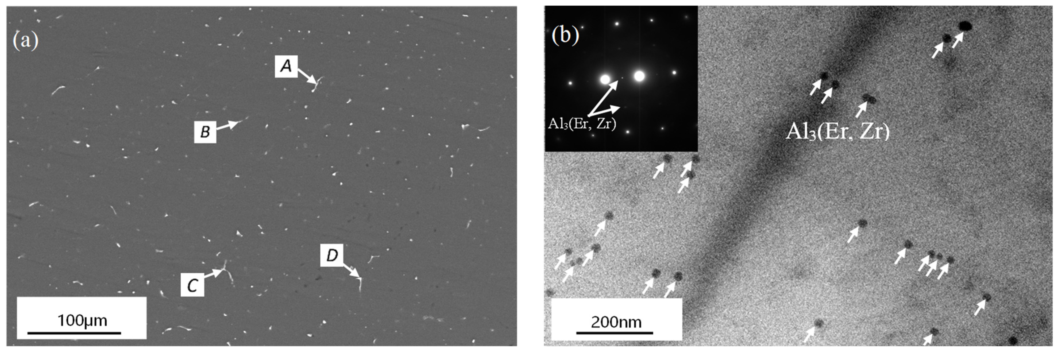 Materials 16 04404 g001