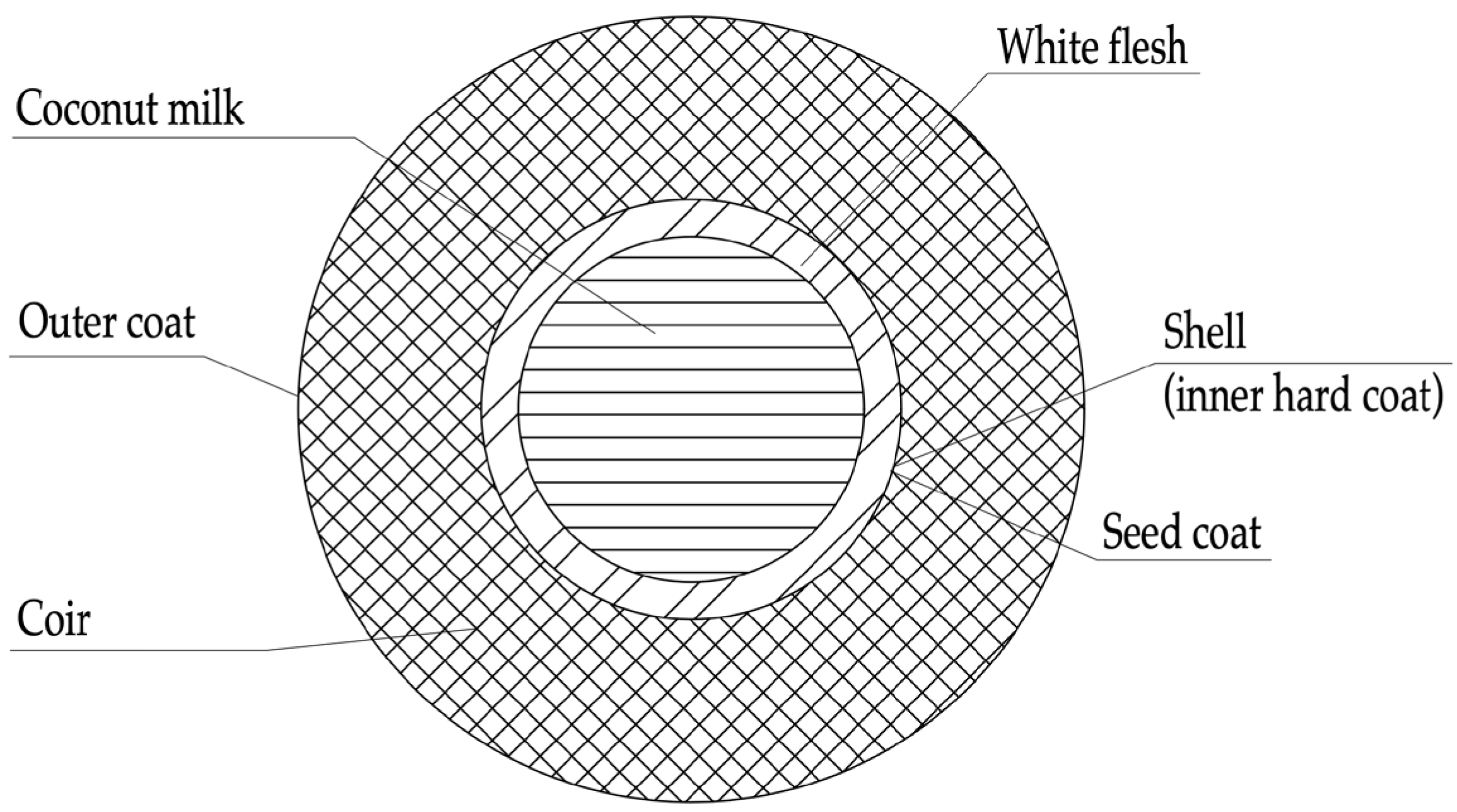 Materials 16 04422 g001 Materials 16 04422 g001