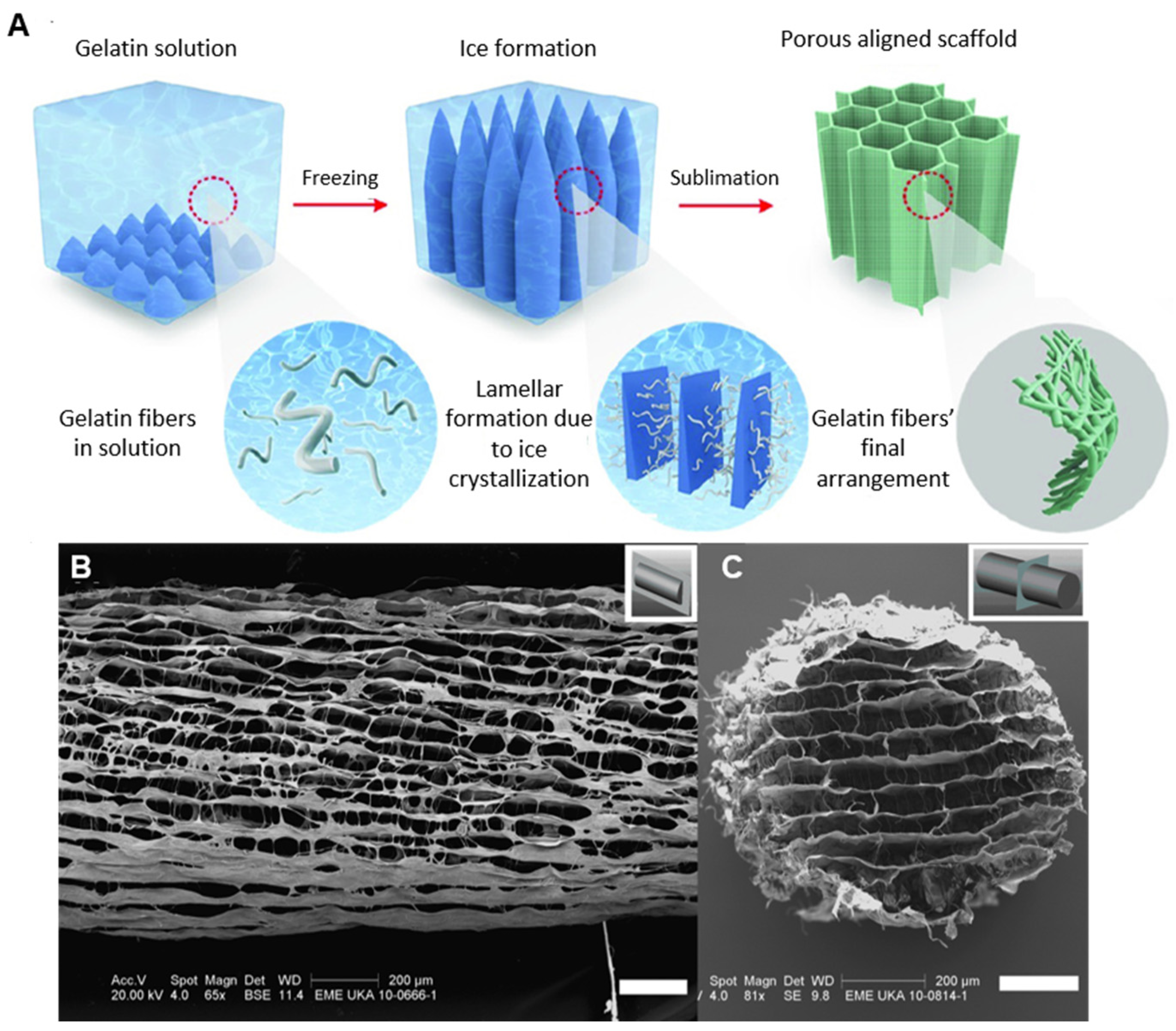 Materials 16 04425 g004