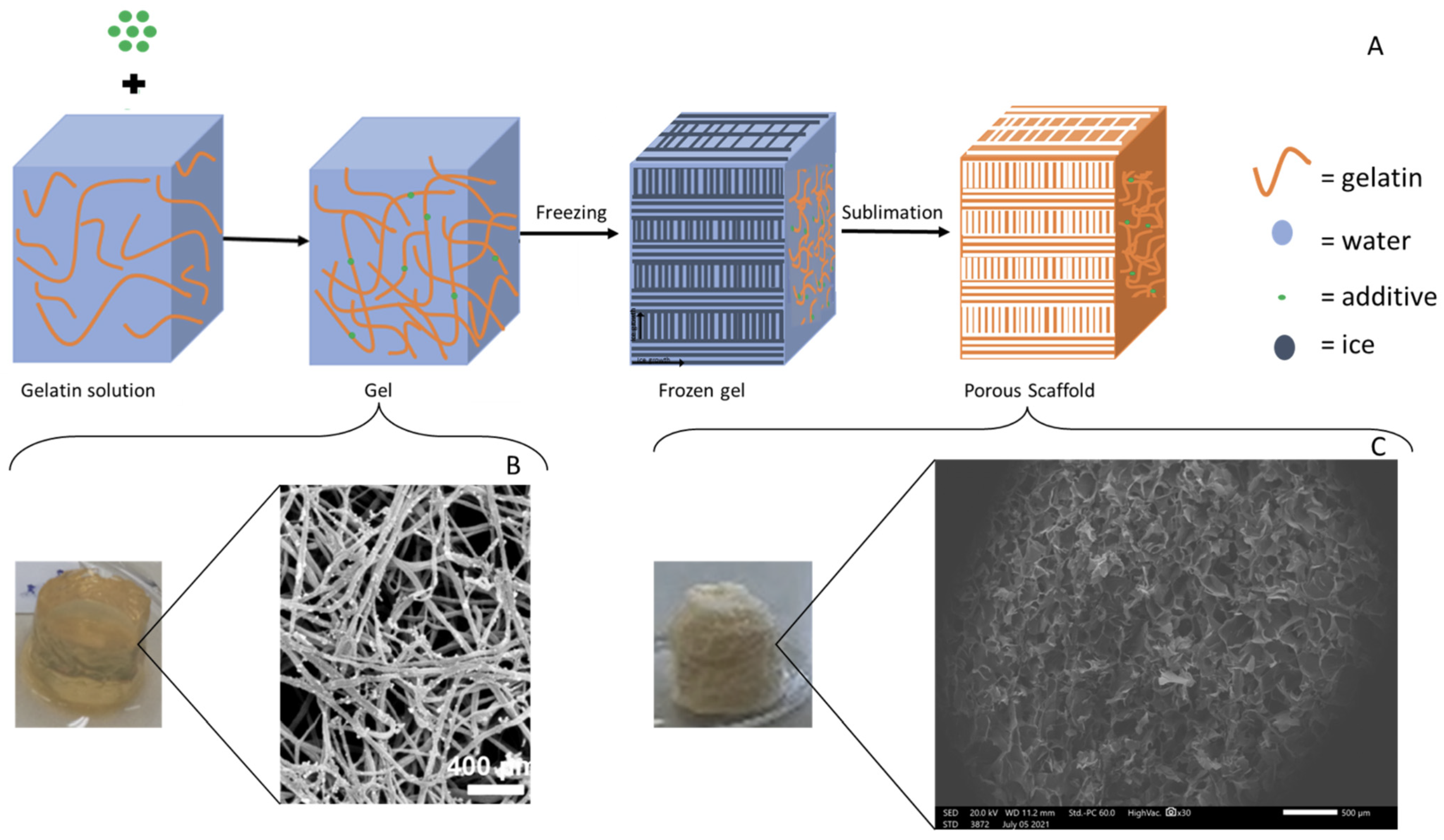 Materials 16 04425 g005