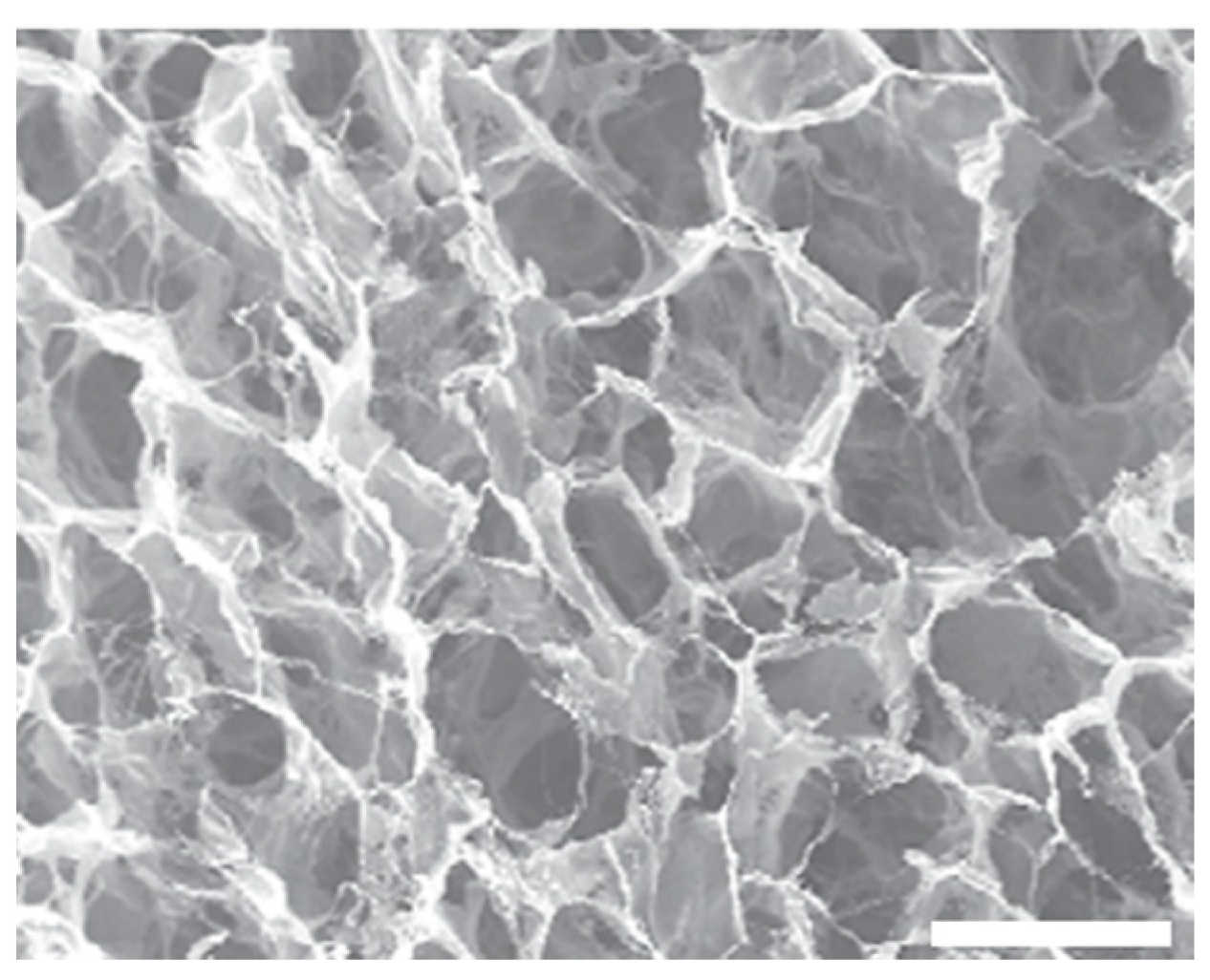 Materials 16 04425 g006