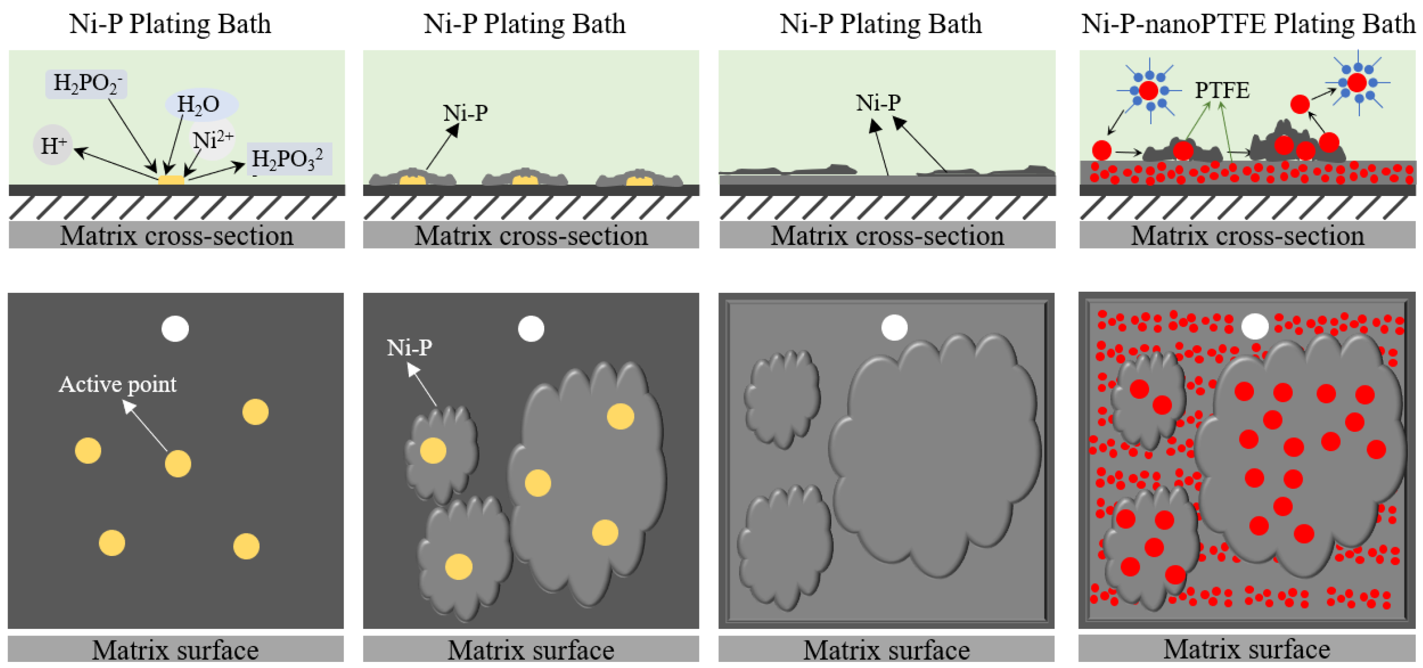 Materials 16 04427 g002