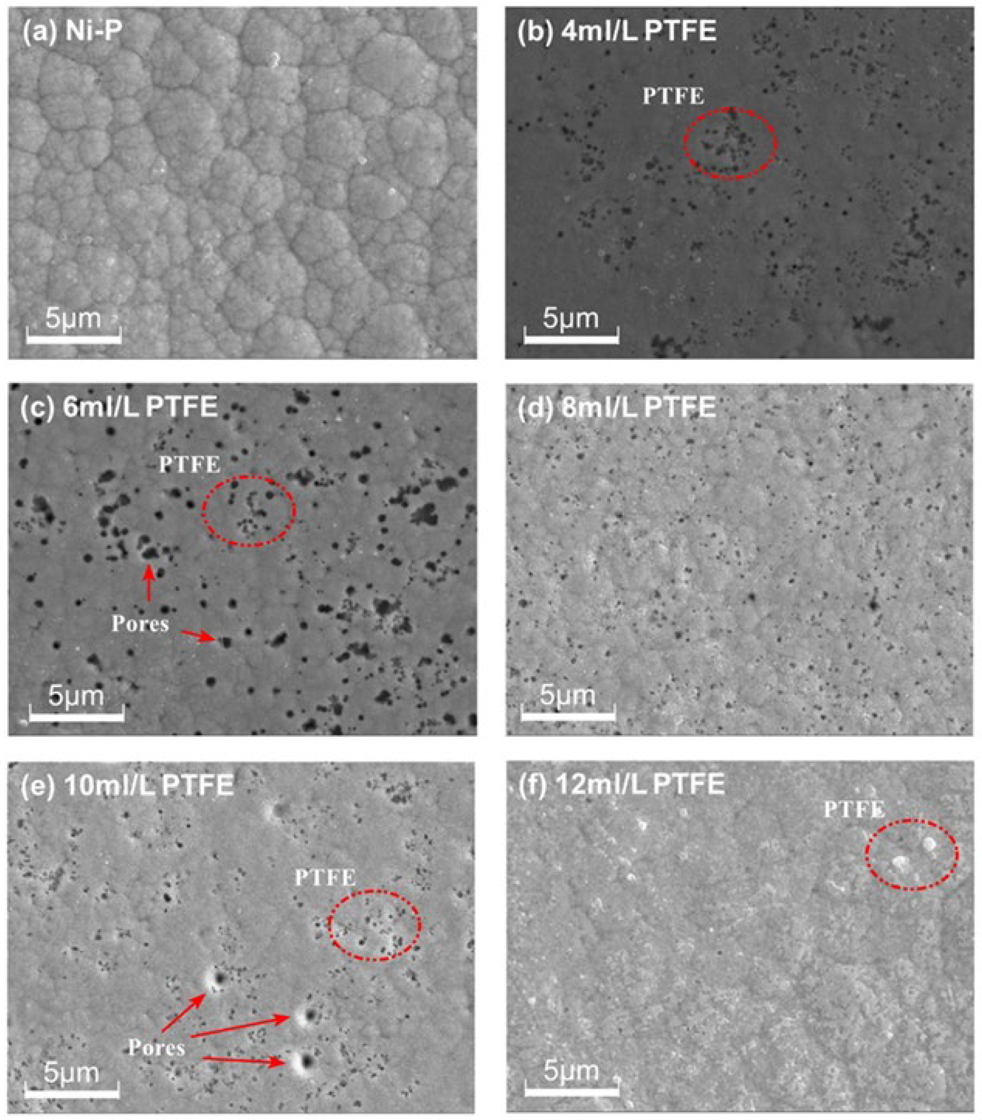 Materials 16 04427 g004