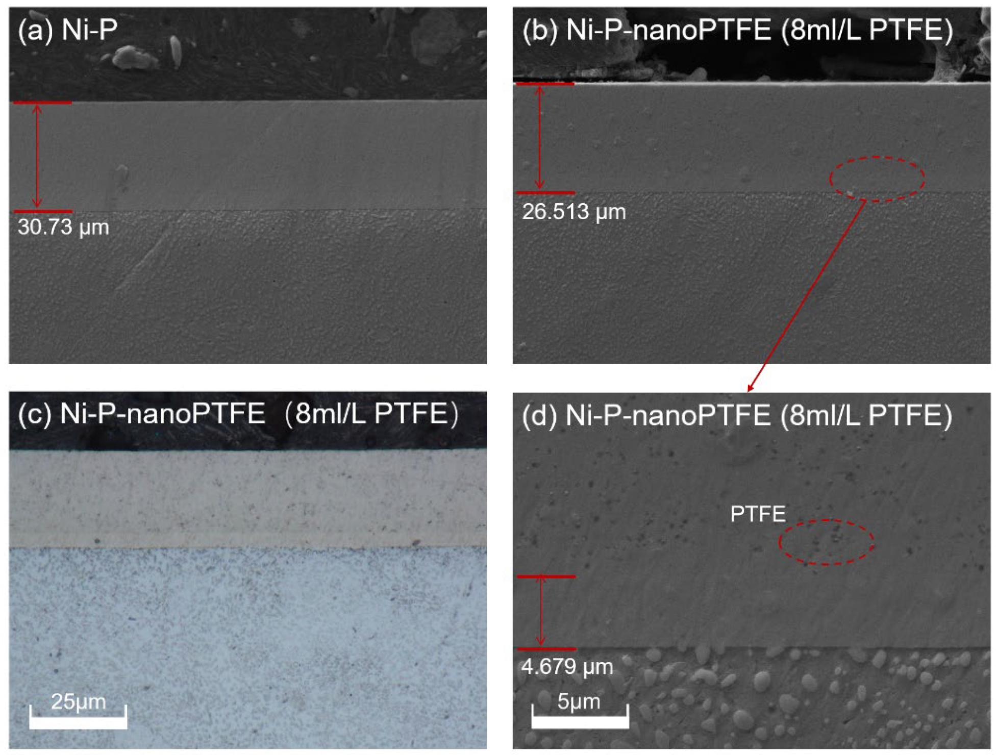 Materials 16 04427 g005