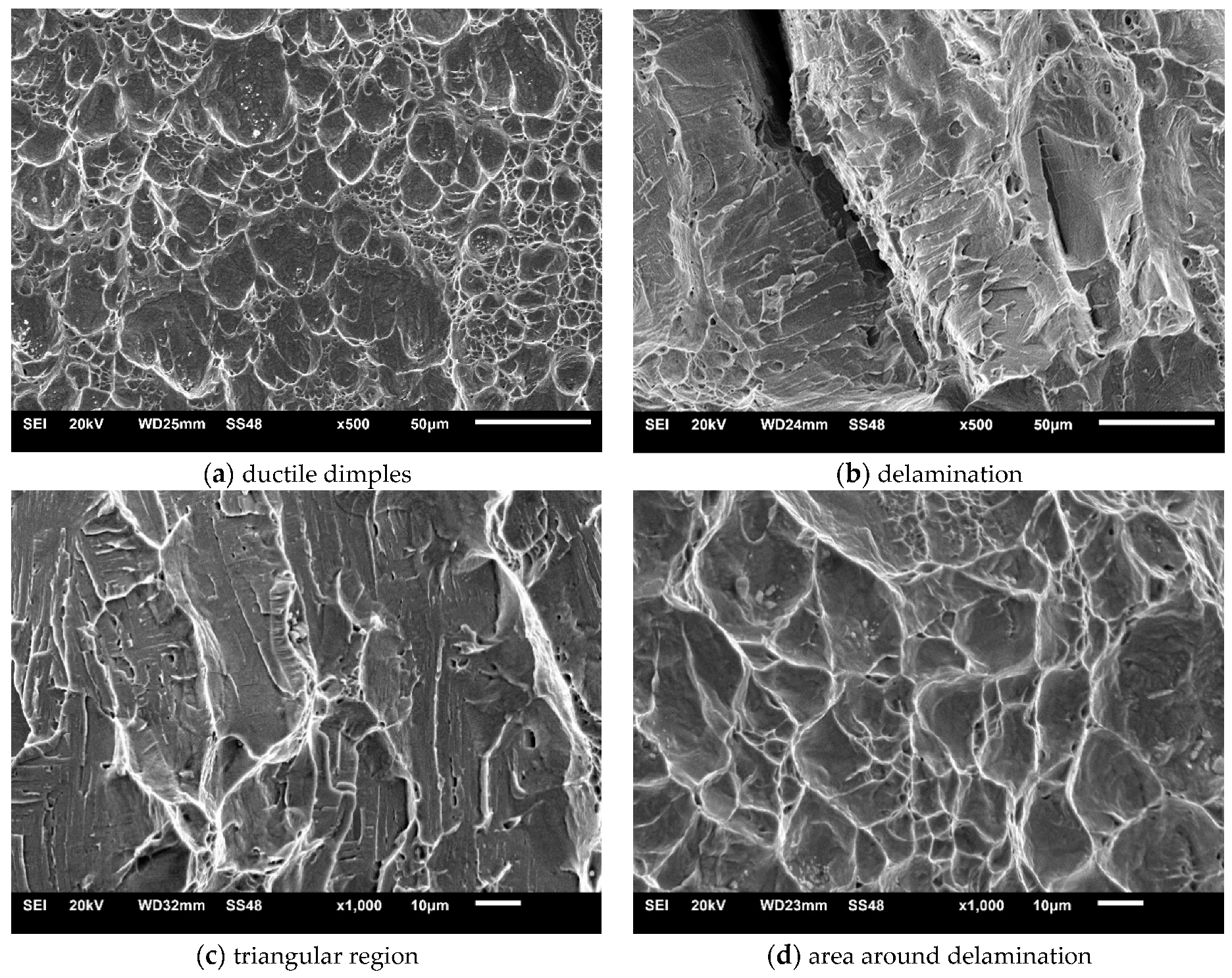 Materials 16 04432 g013