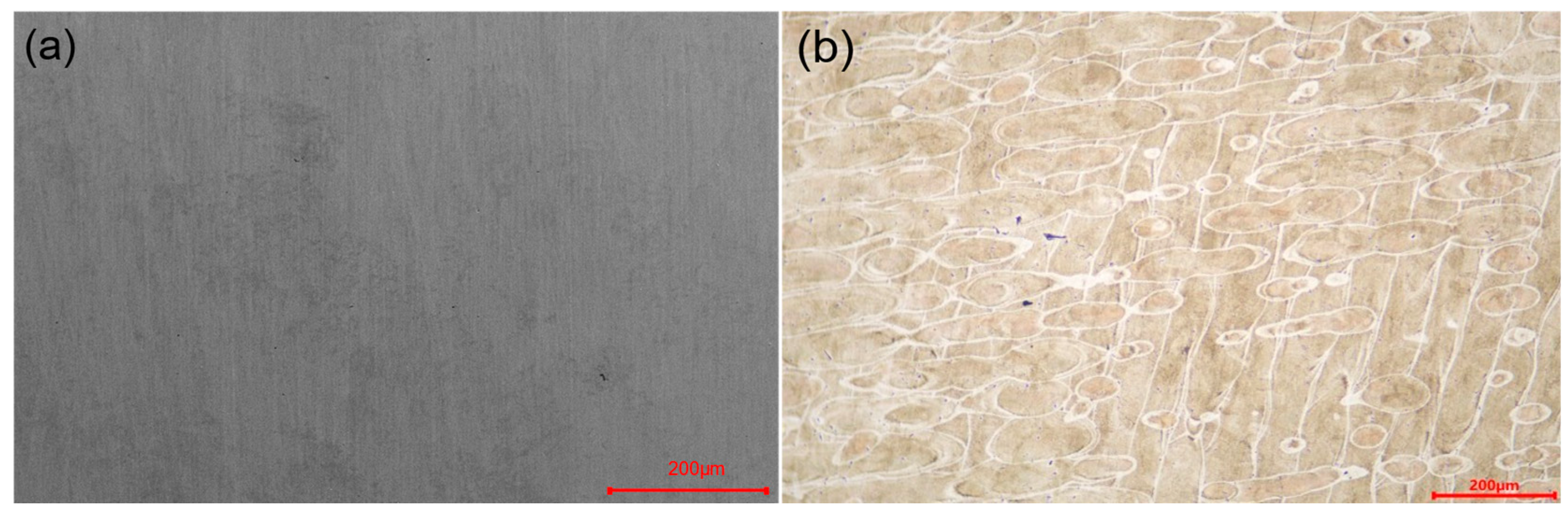 Materials 16 04433 g003