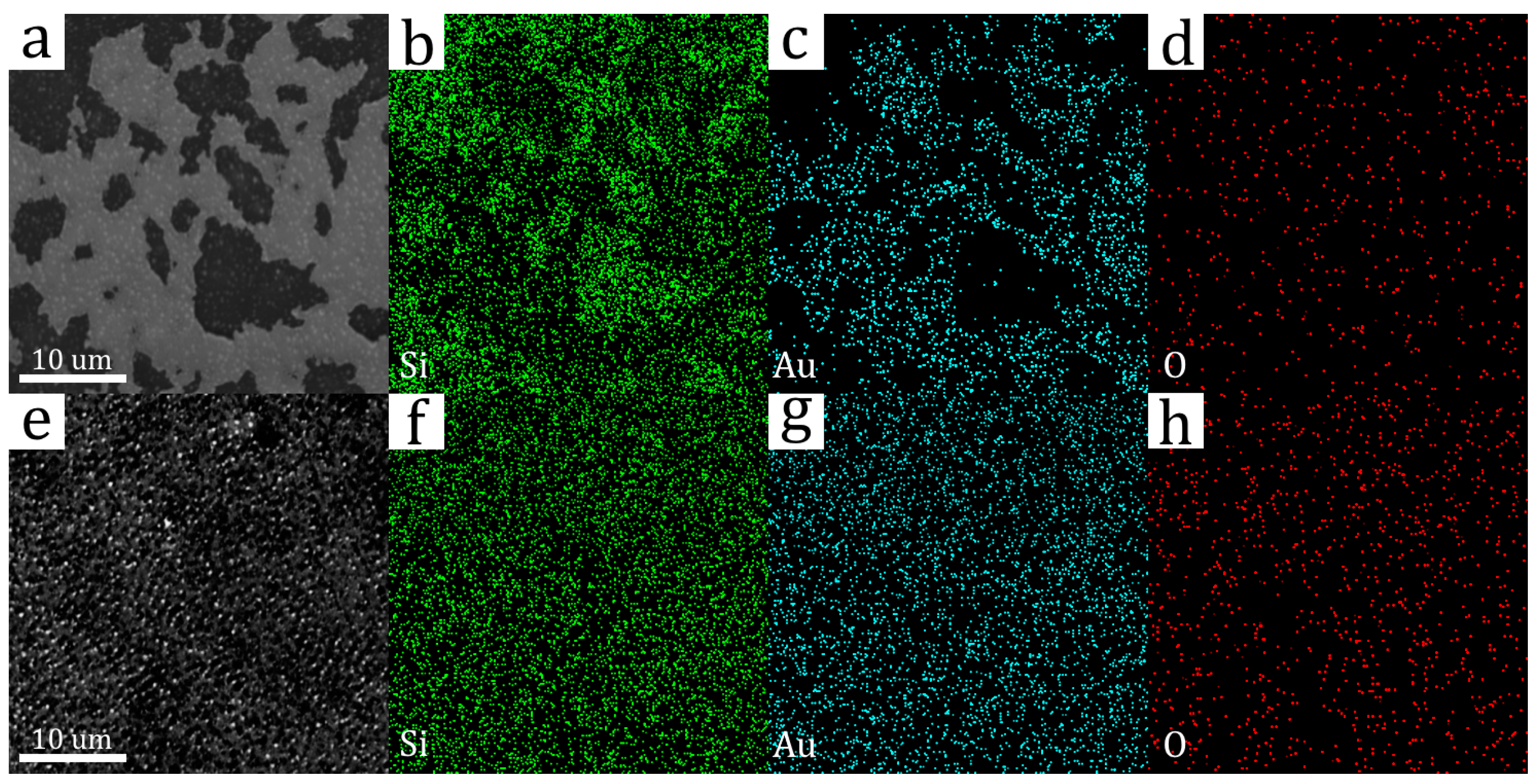Materials 16 04439 g003