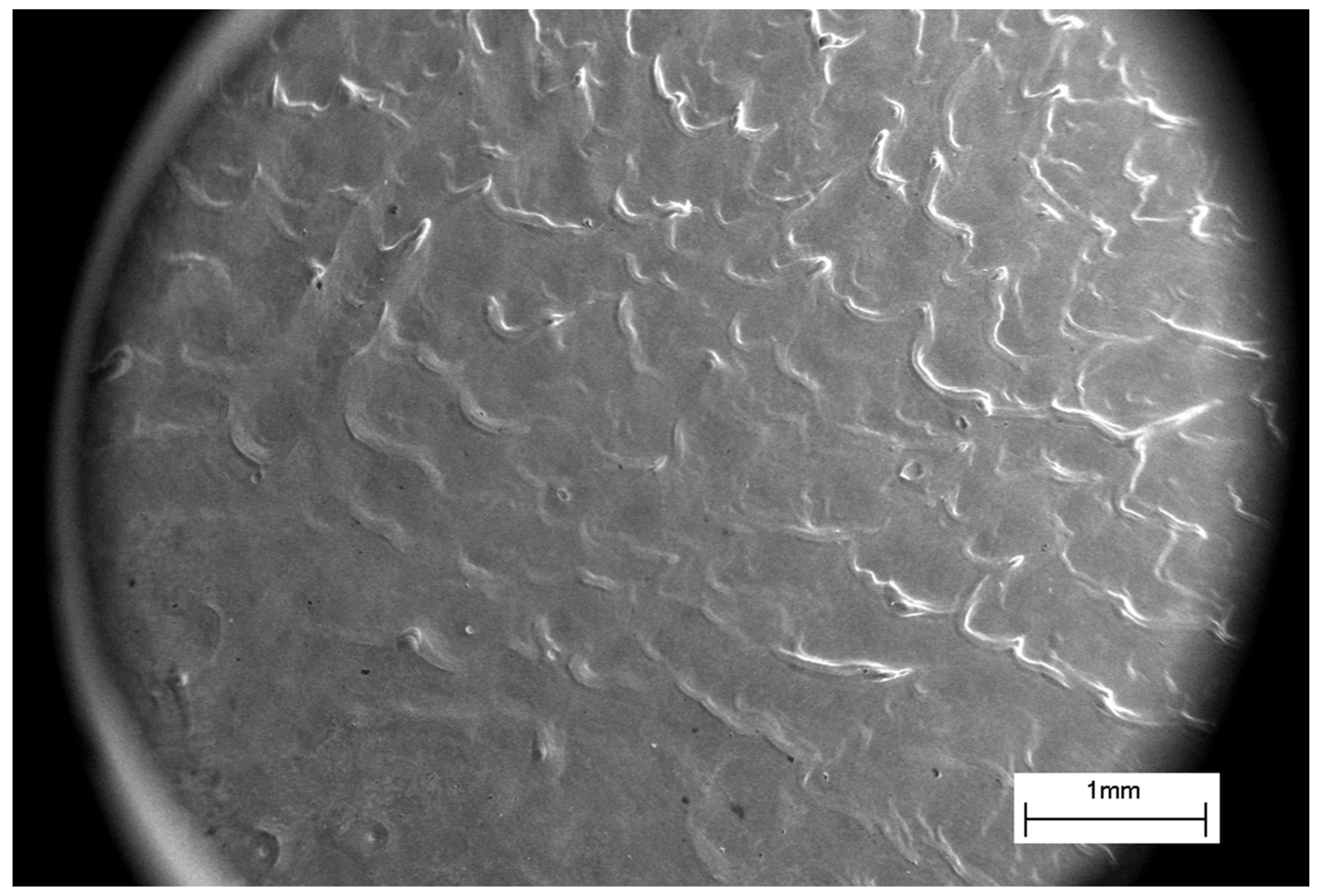 Materials 16 04445 g003 Materials 16 04445 g003