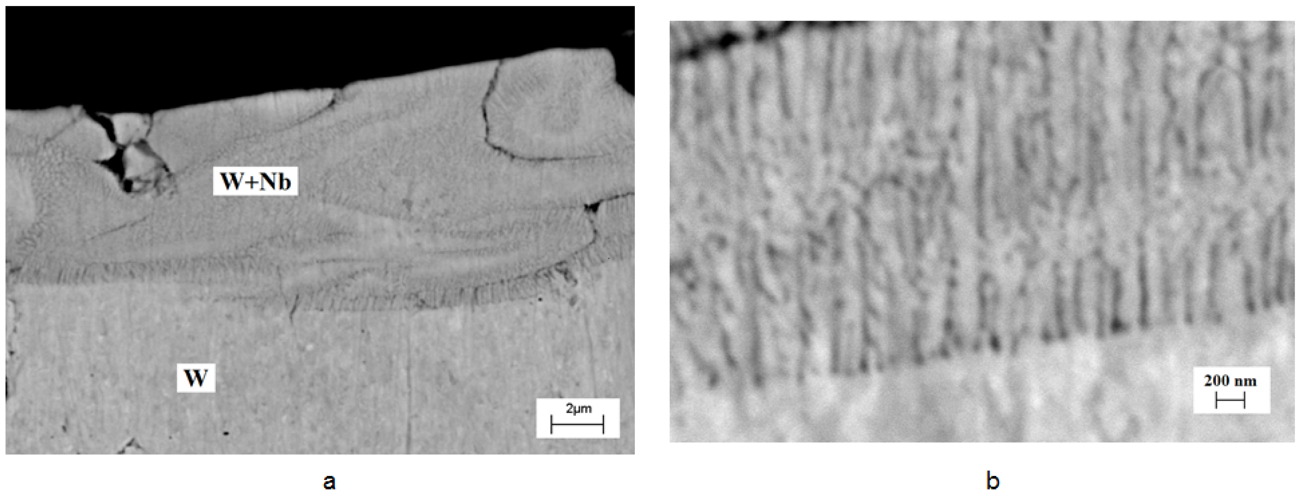 Materials 16 04445 g006 Materials 16 04445 g006