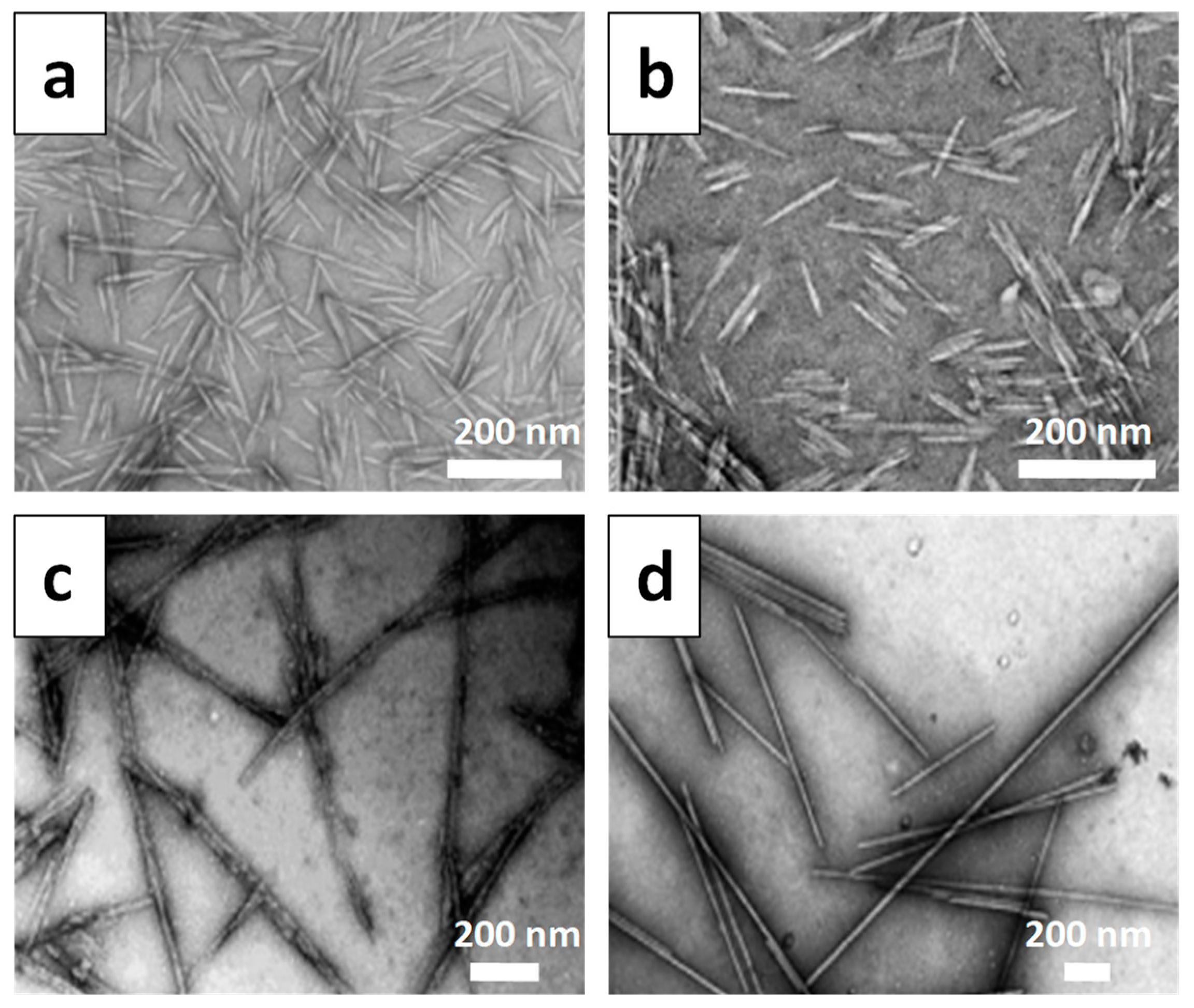 Materials 16 04447 g006