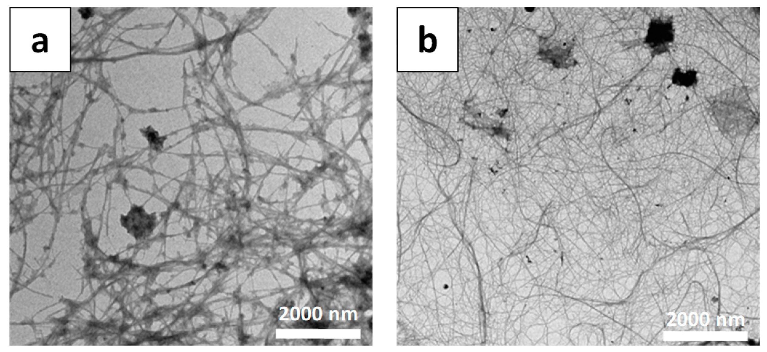 Materials 16 04447 g007