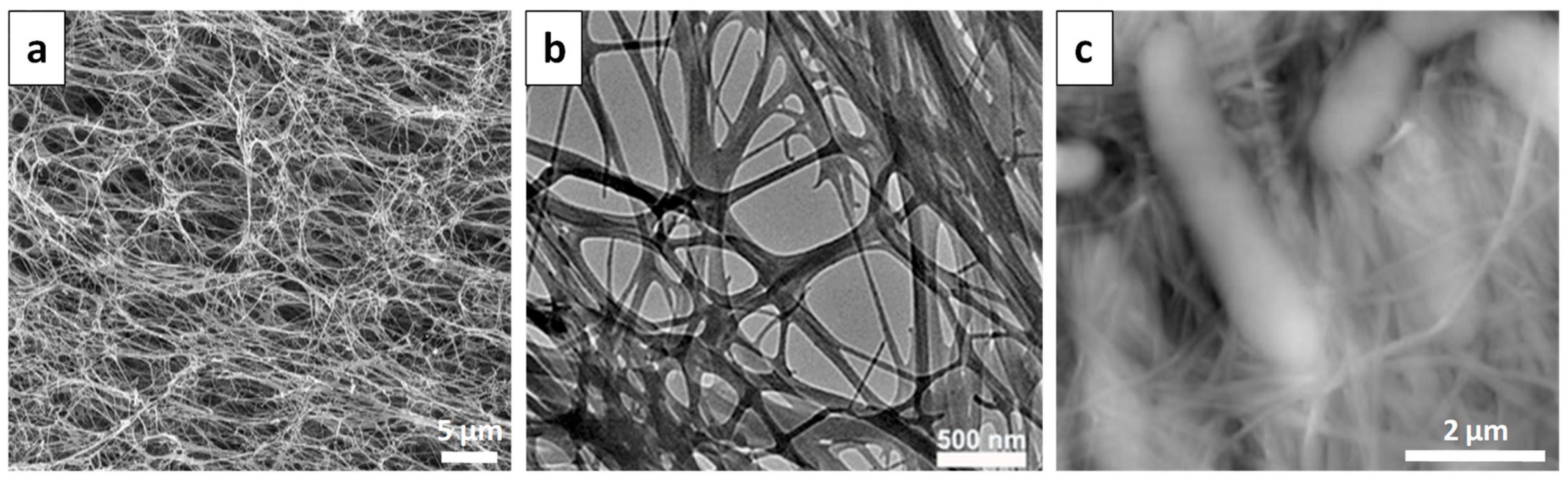 Materials 16 04447 g008