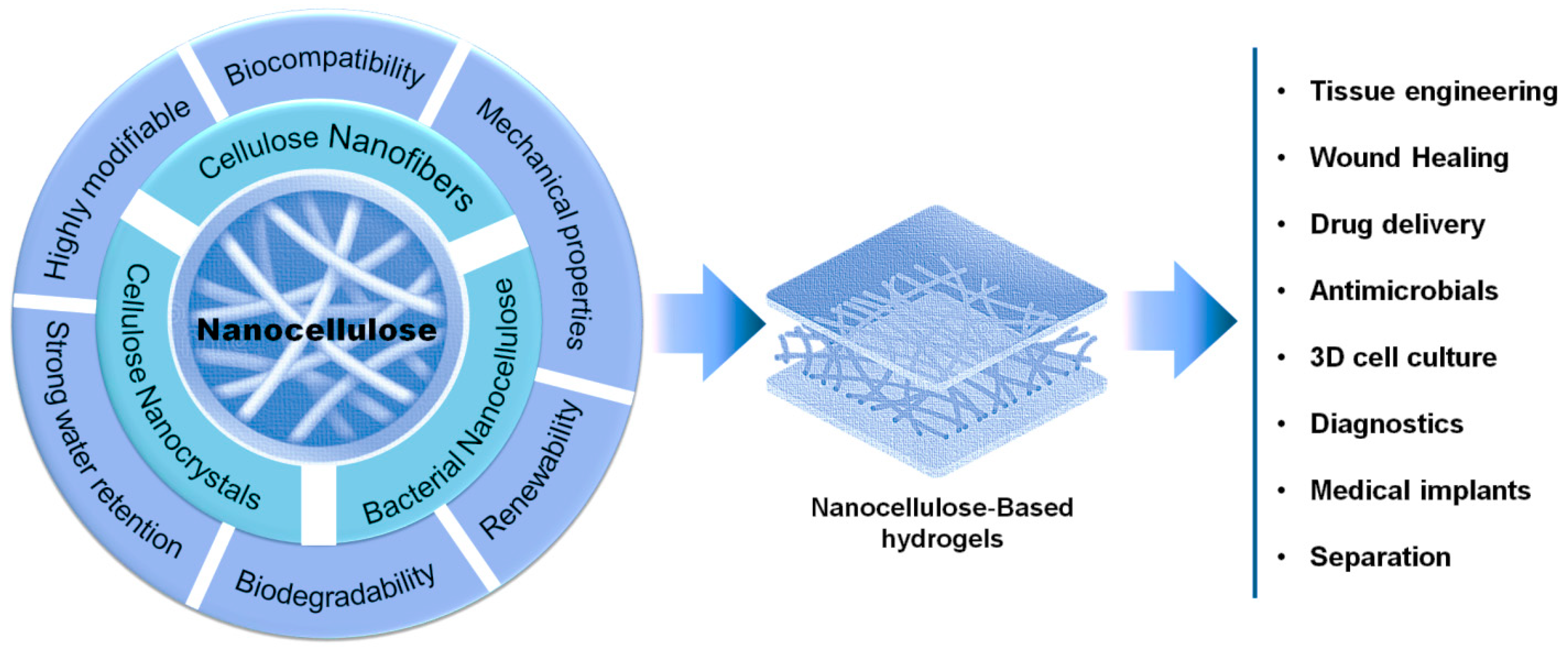 Materials 16 04447 g009