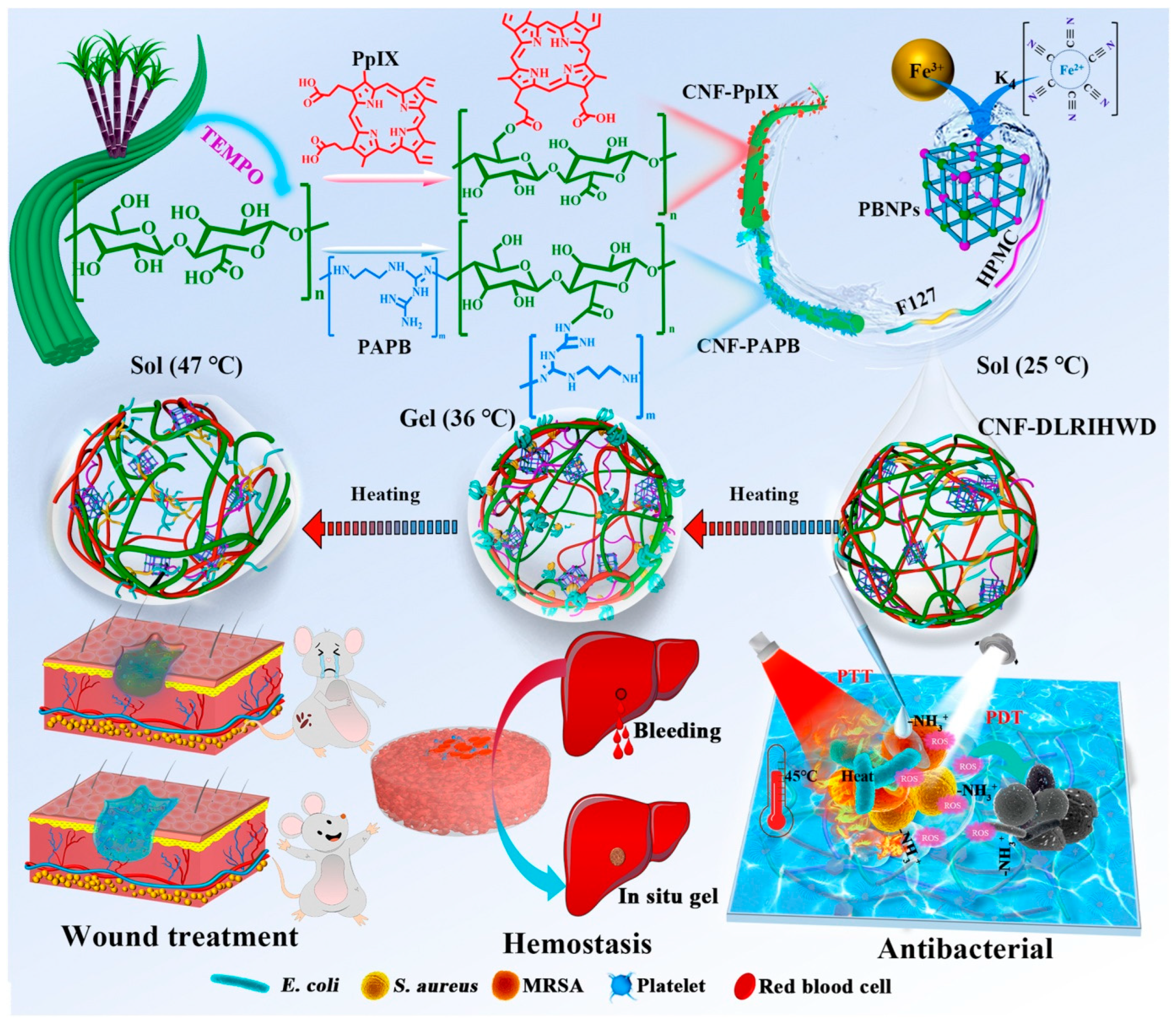 Materials 16 04447 g011