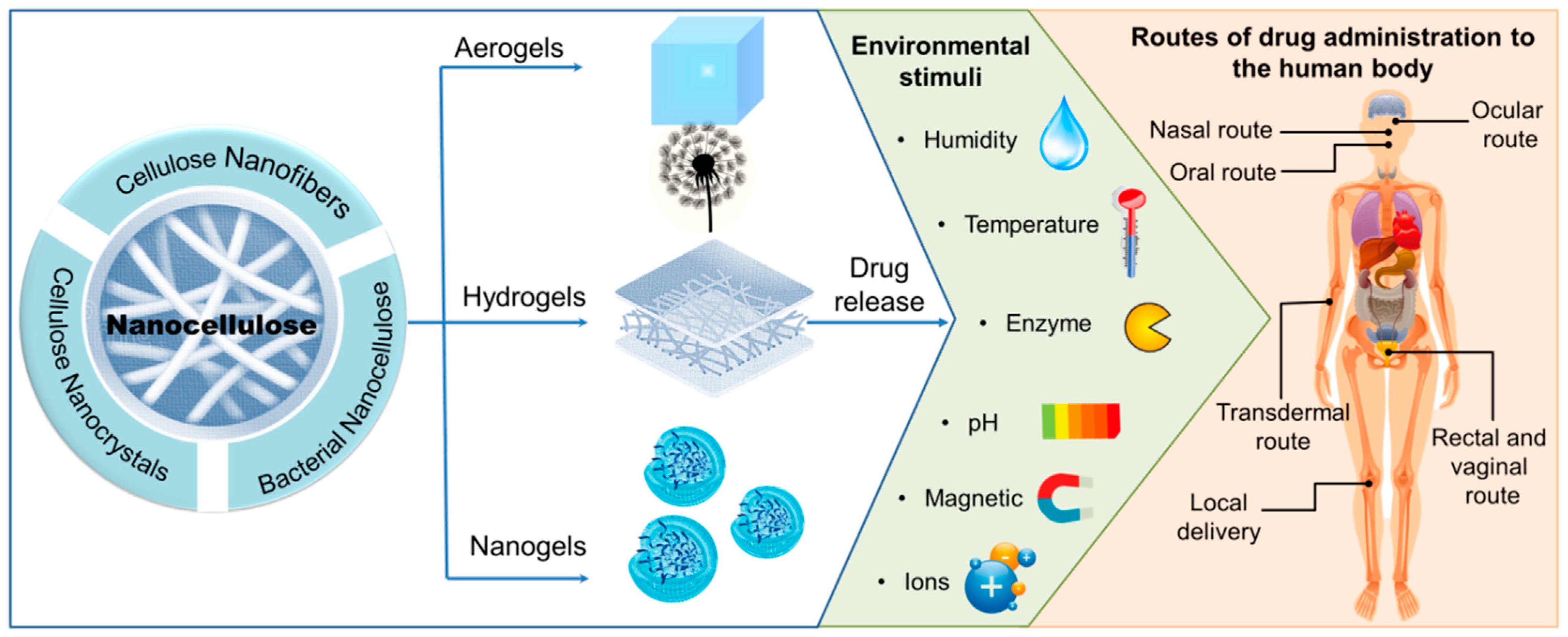 Materials 16 04447 g013