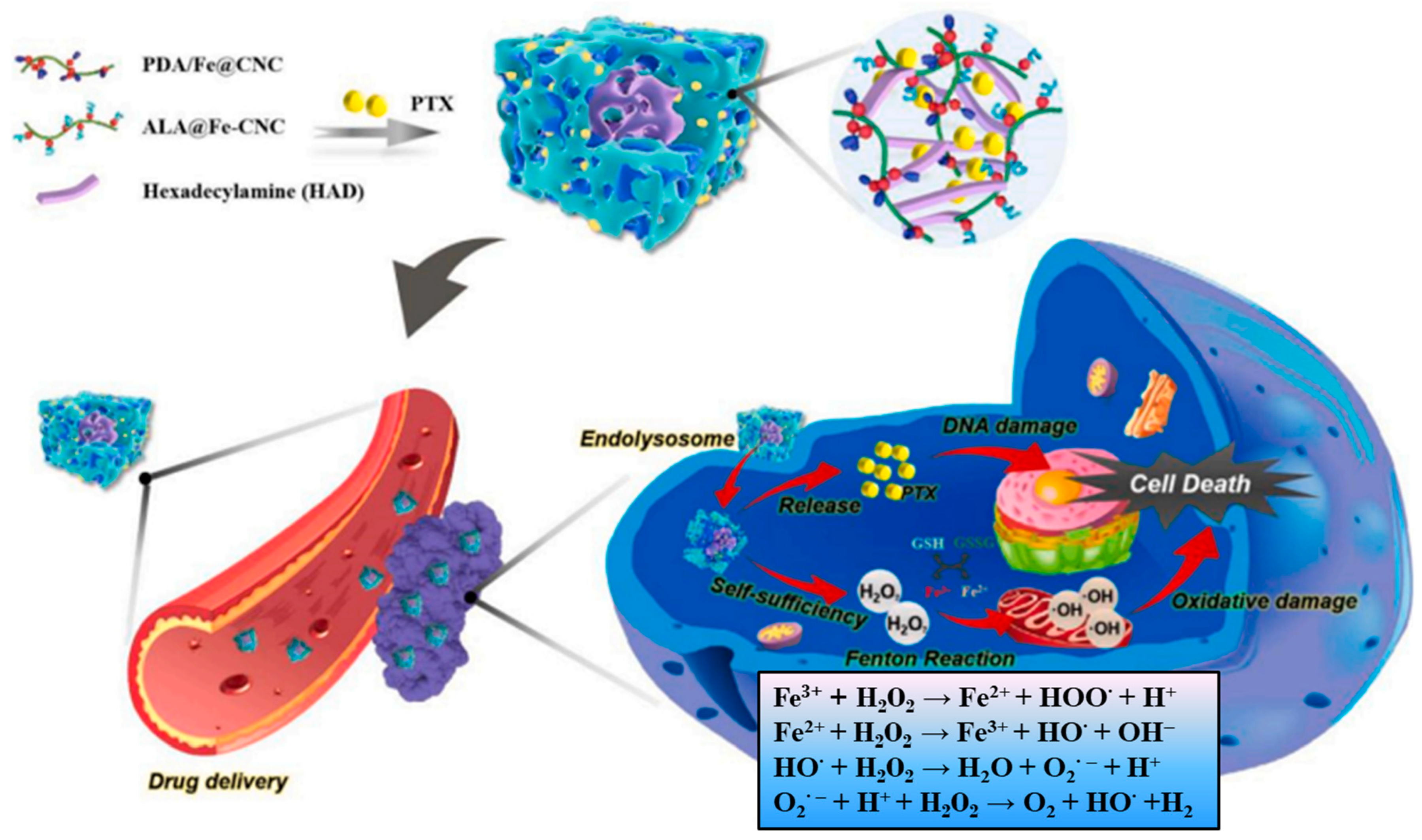 Materials 16 04447 g014