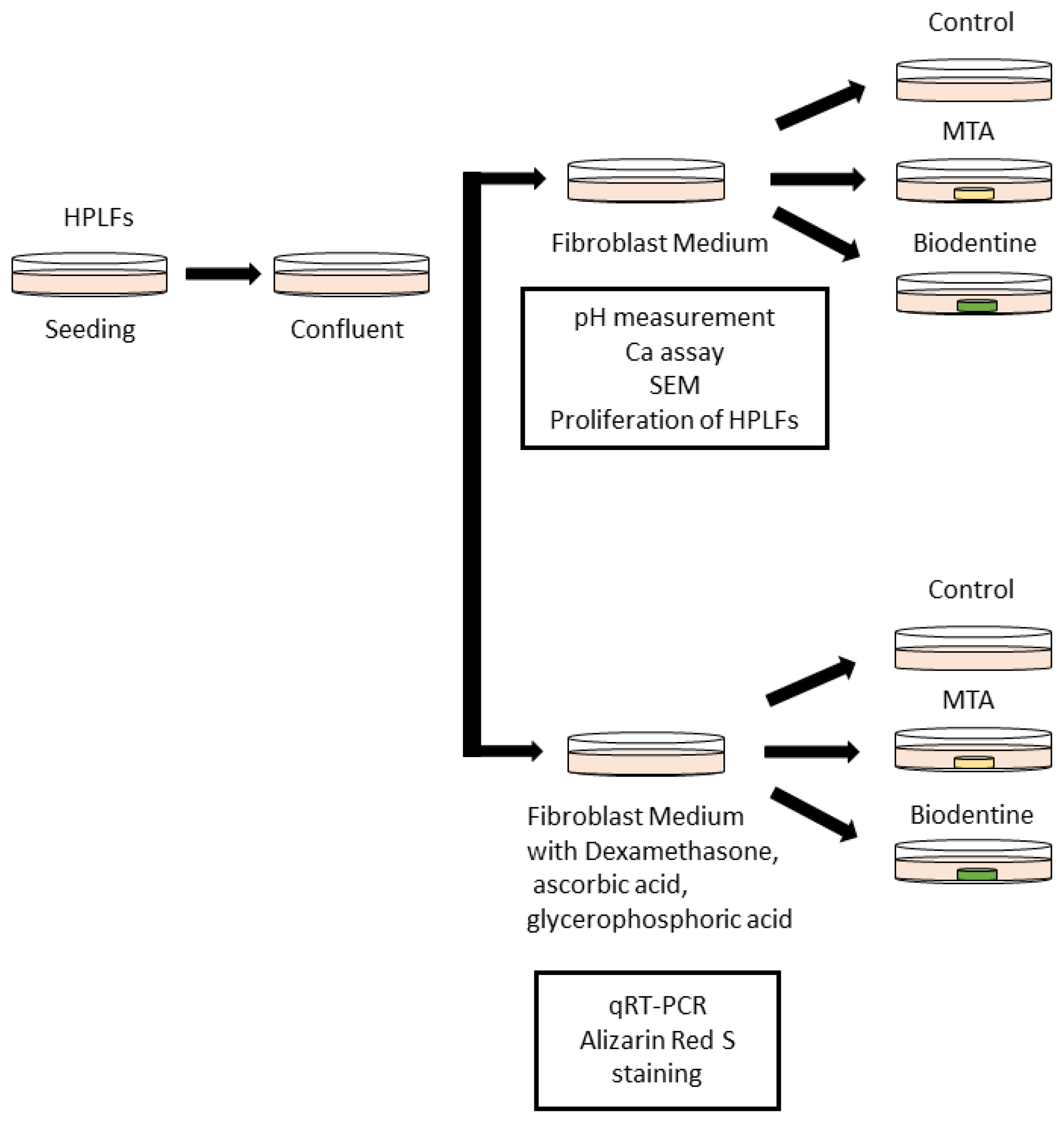 Materials 16 04451 g001 Materials 16 04451 g001