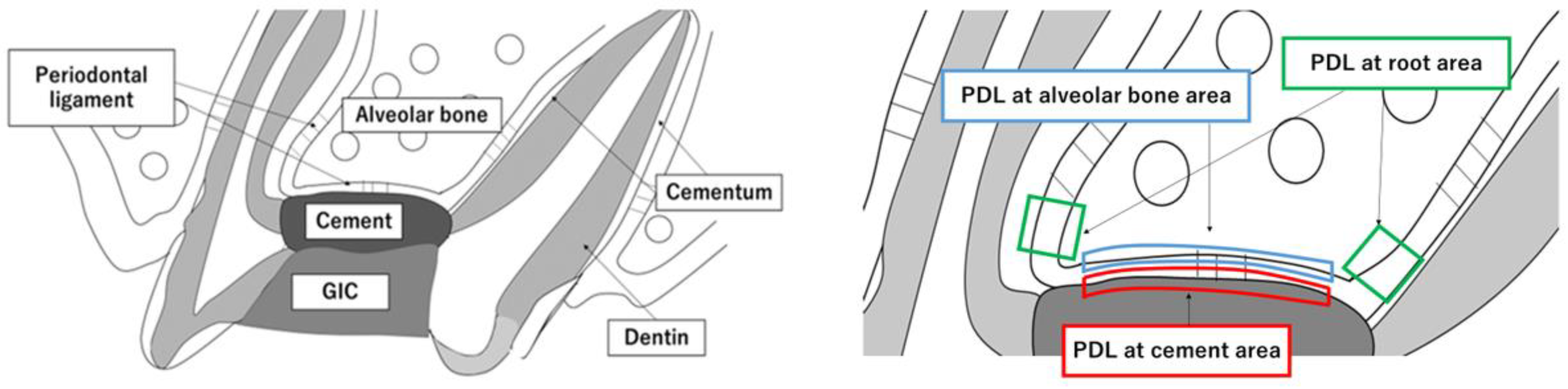 Materials 16 04451 g002 Materials 16 04451 g002