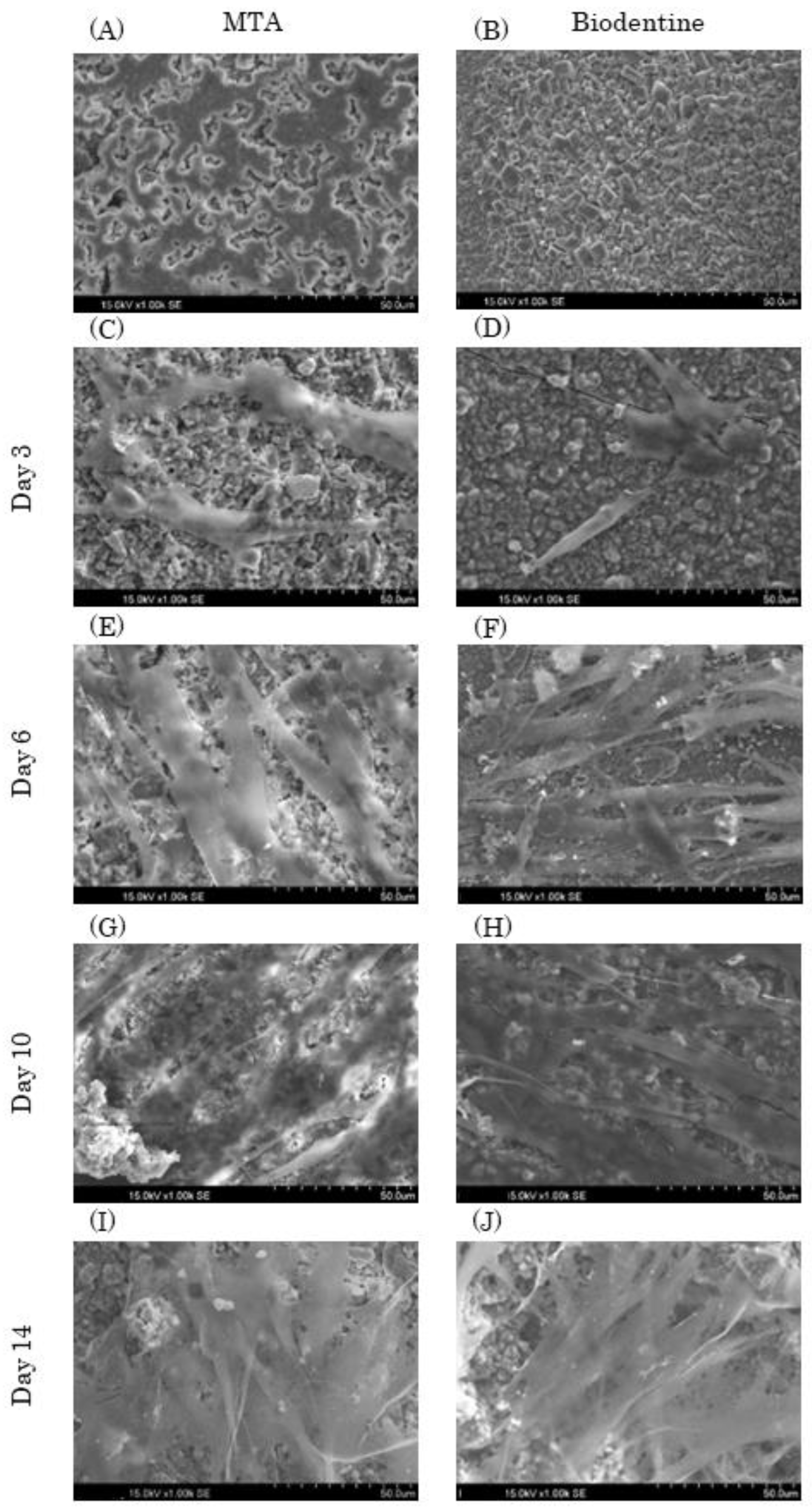 Materials 16 04451 g004 Materials 16 04451 g004