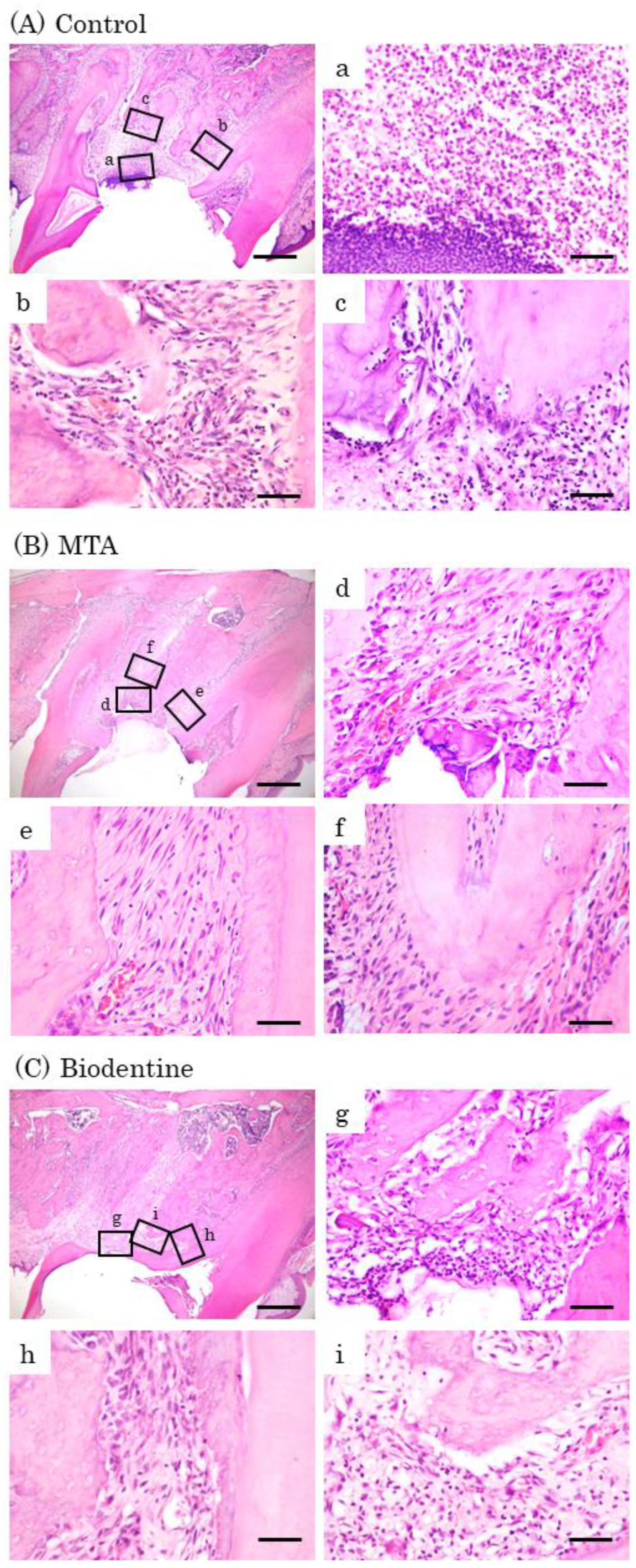 Materials 16 04451 g008 Materials 16 04451 g008