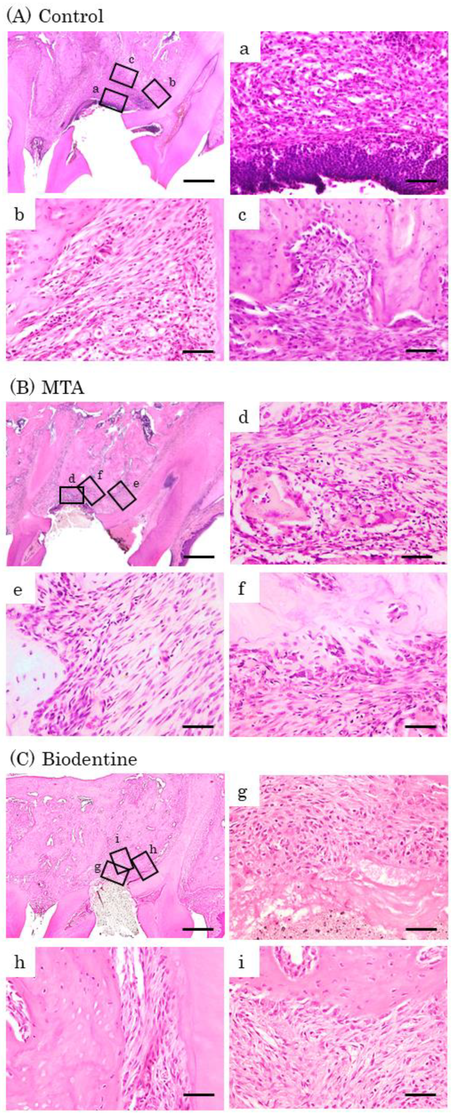 Materials 16 04451 g009 Materials 16 04451 g009