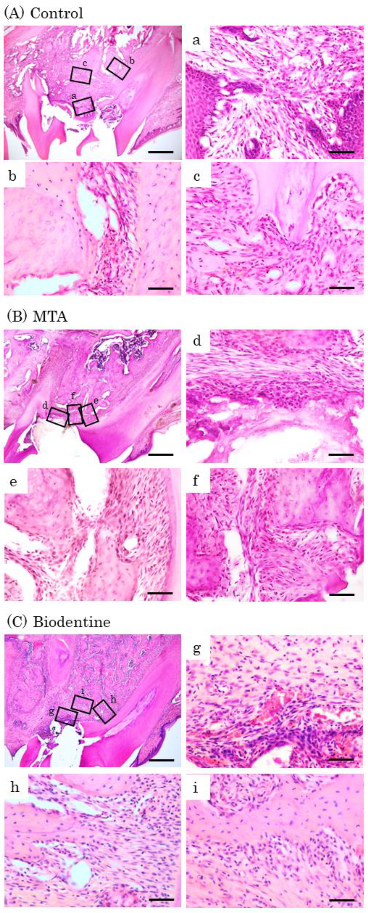 Materials 16 04451 g010 Materials 16 04451 g010
