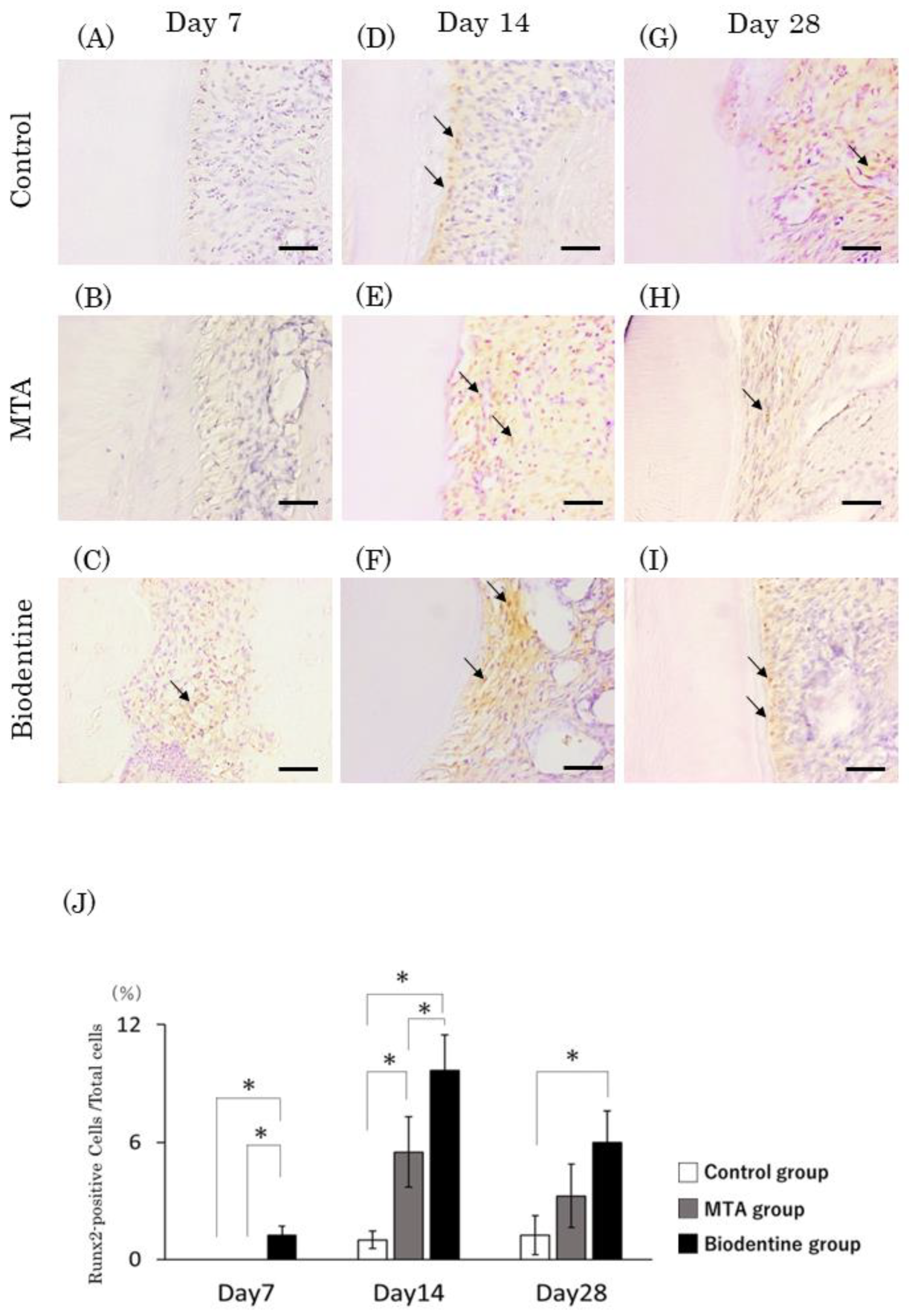 Materials 16 04451 g011 Materials 16 04451 g011