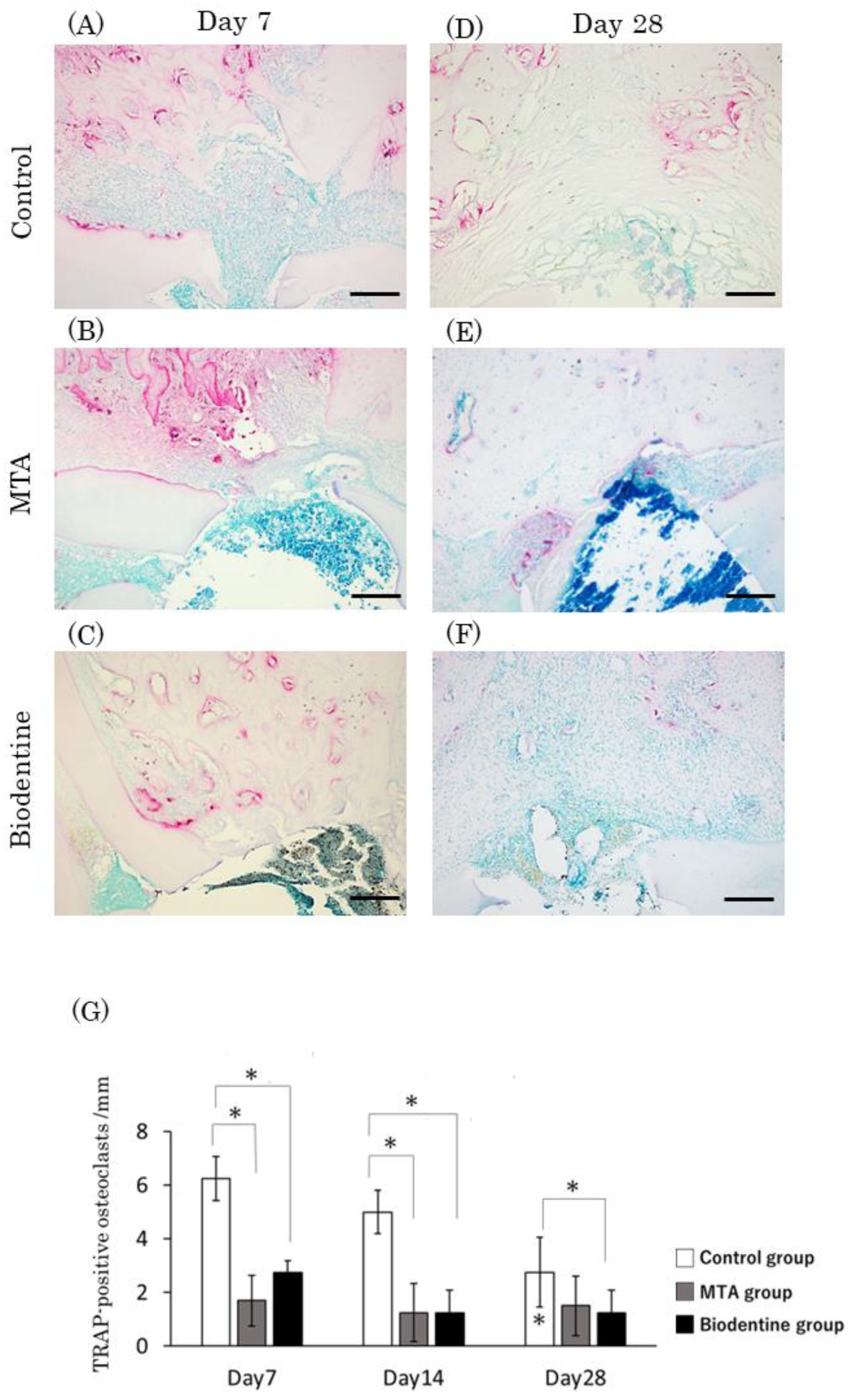 Materials 16 04451 g012 Materials 16 04451 g012