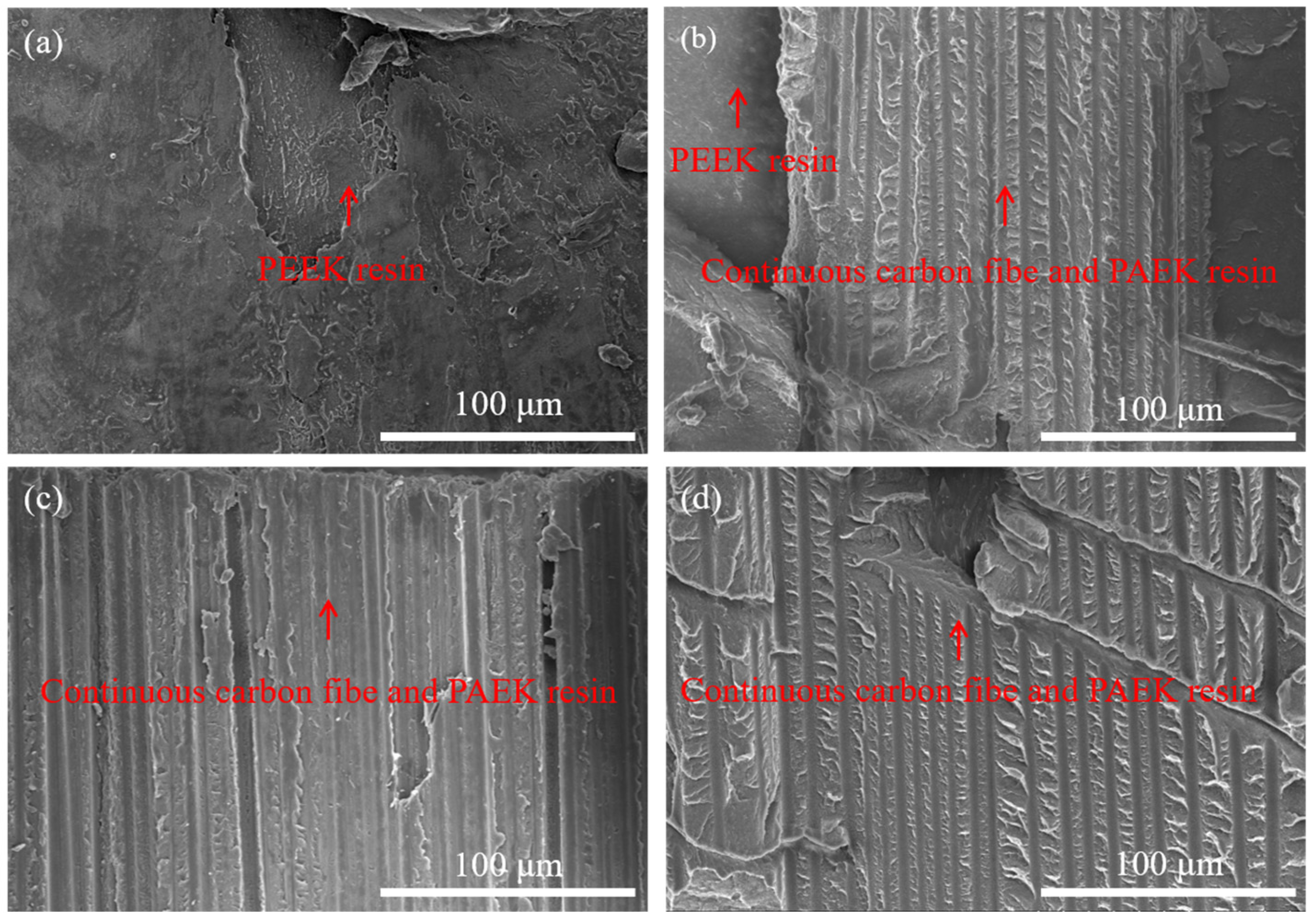 Materials 16 04456 g007 Materials 16 04456 g007