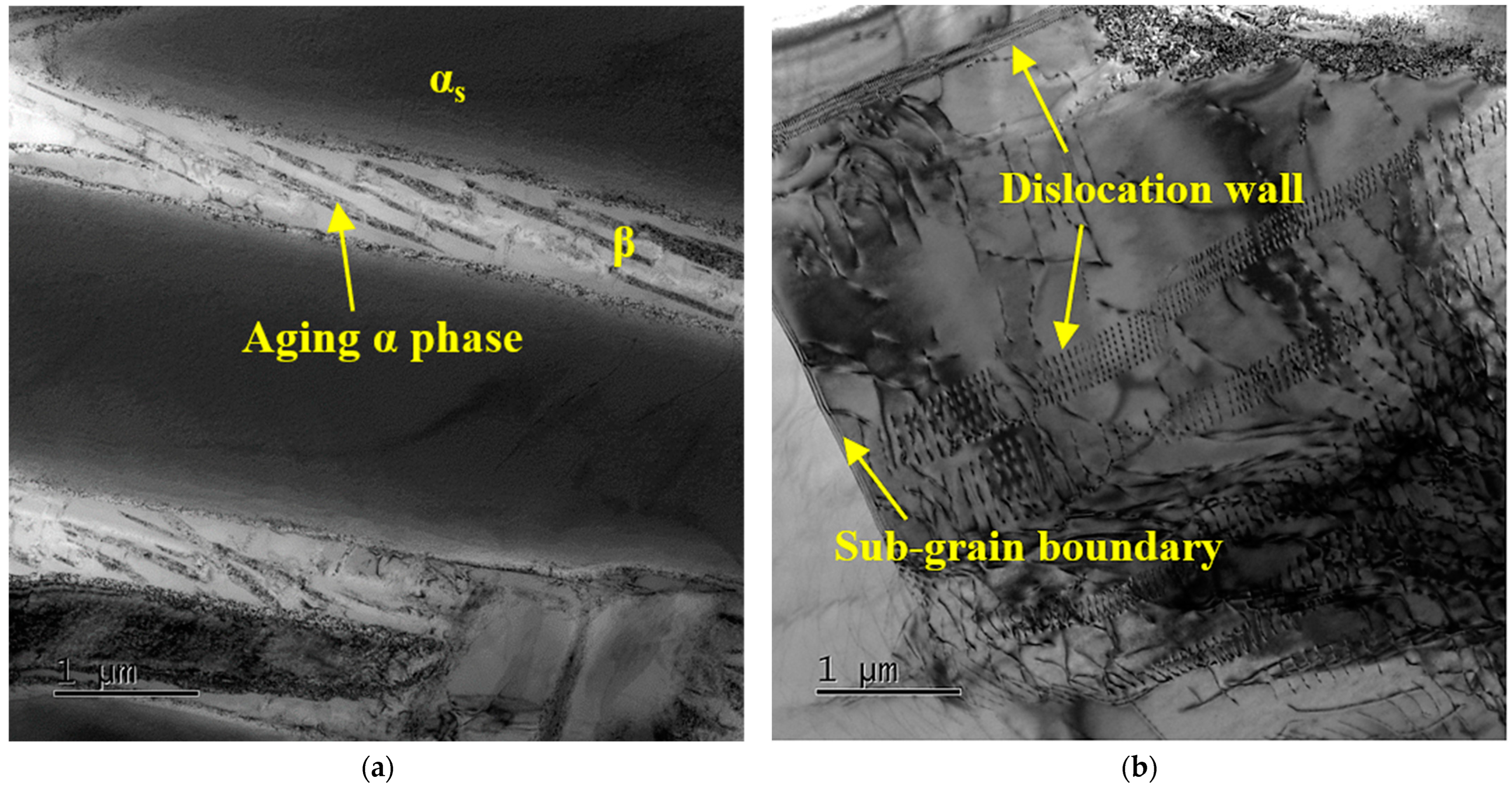 Materials 16 04462 g006