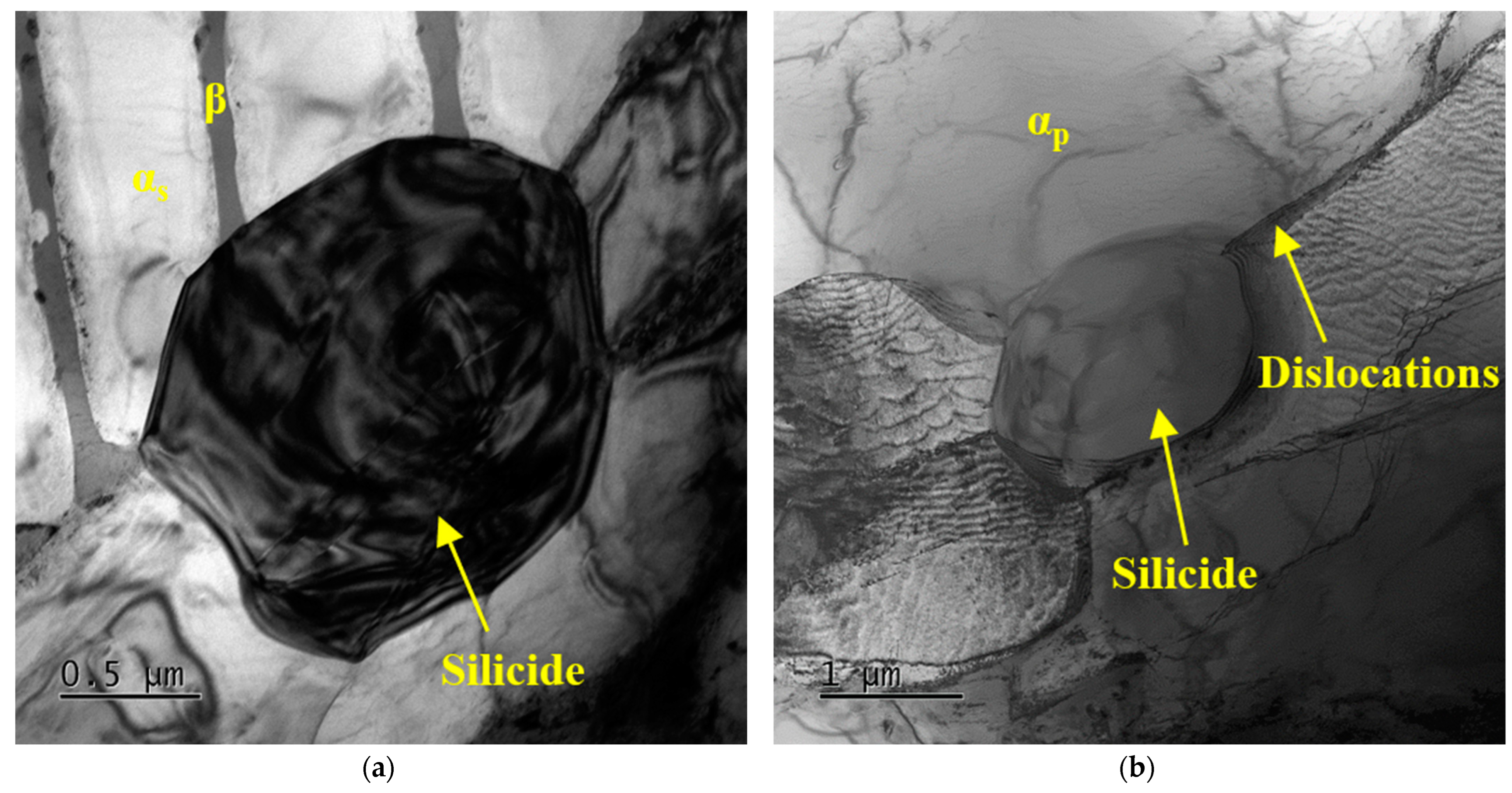 Materials 16 04462 g008a