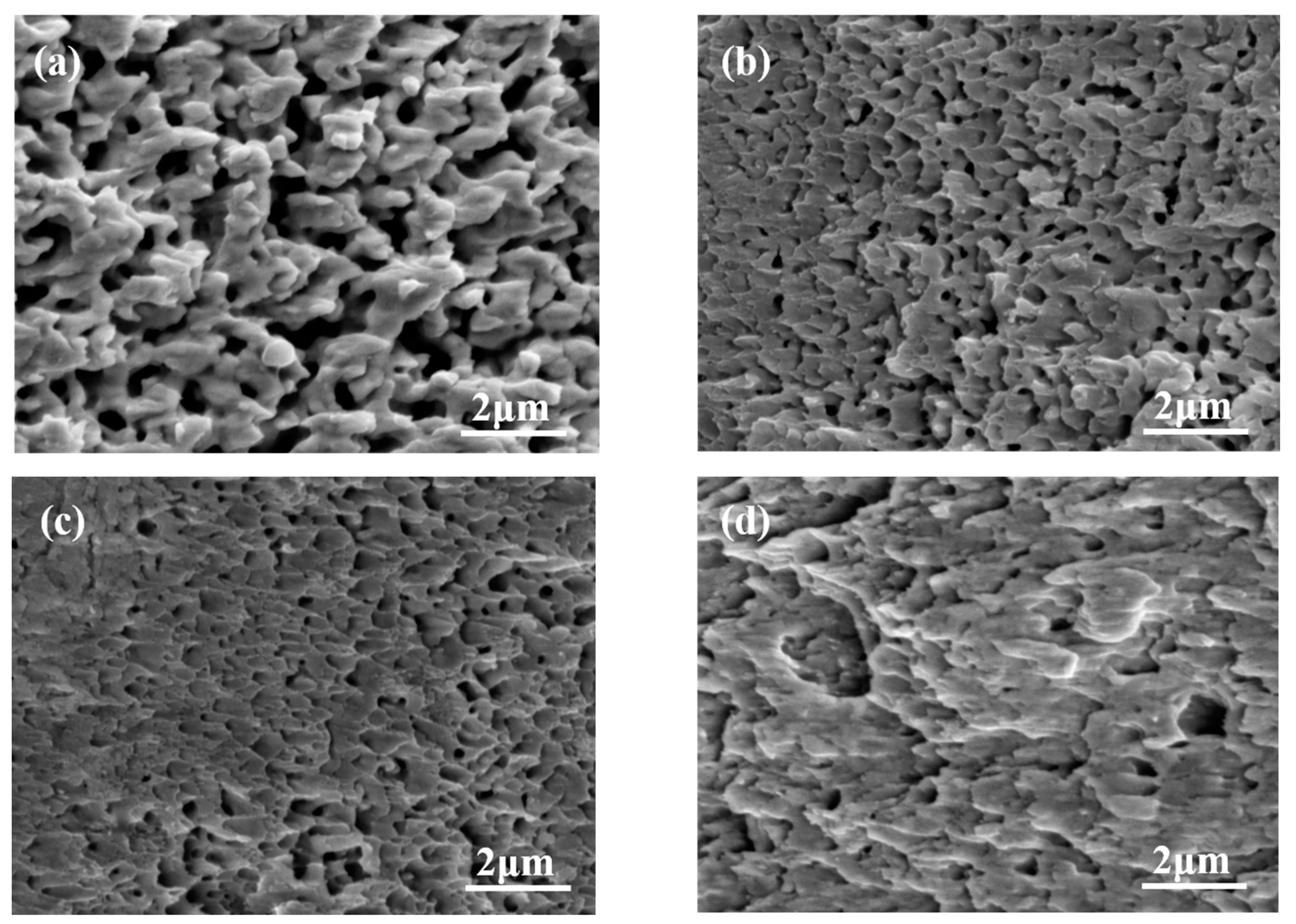 Materials 16 04472 g010 550