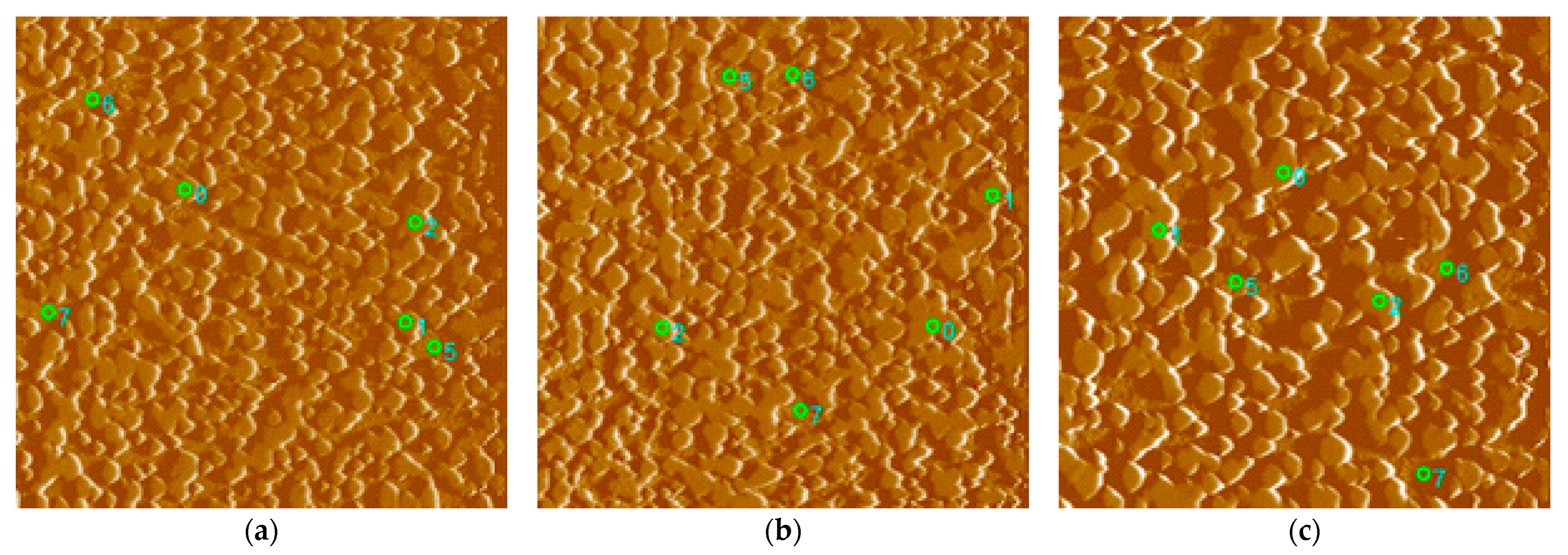 Materials 16 04473 g017 Materials 16 04473 g017