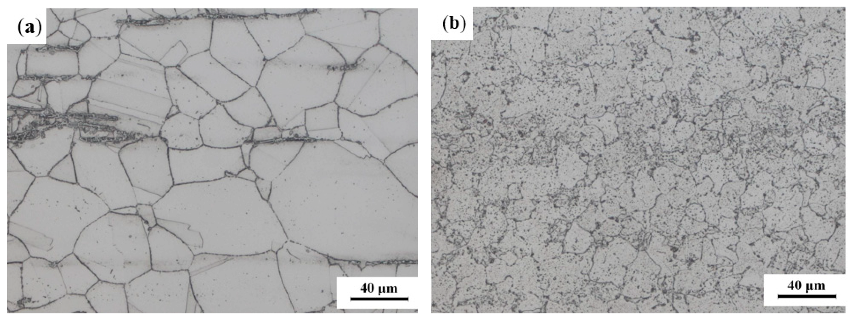 Materials 16 04474 g002