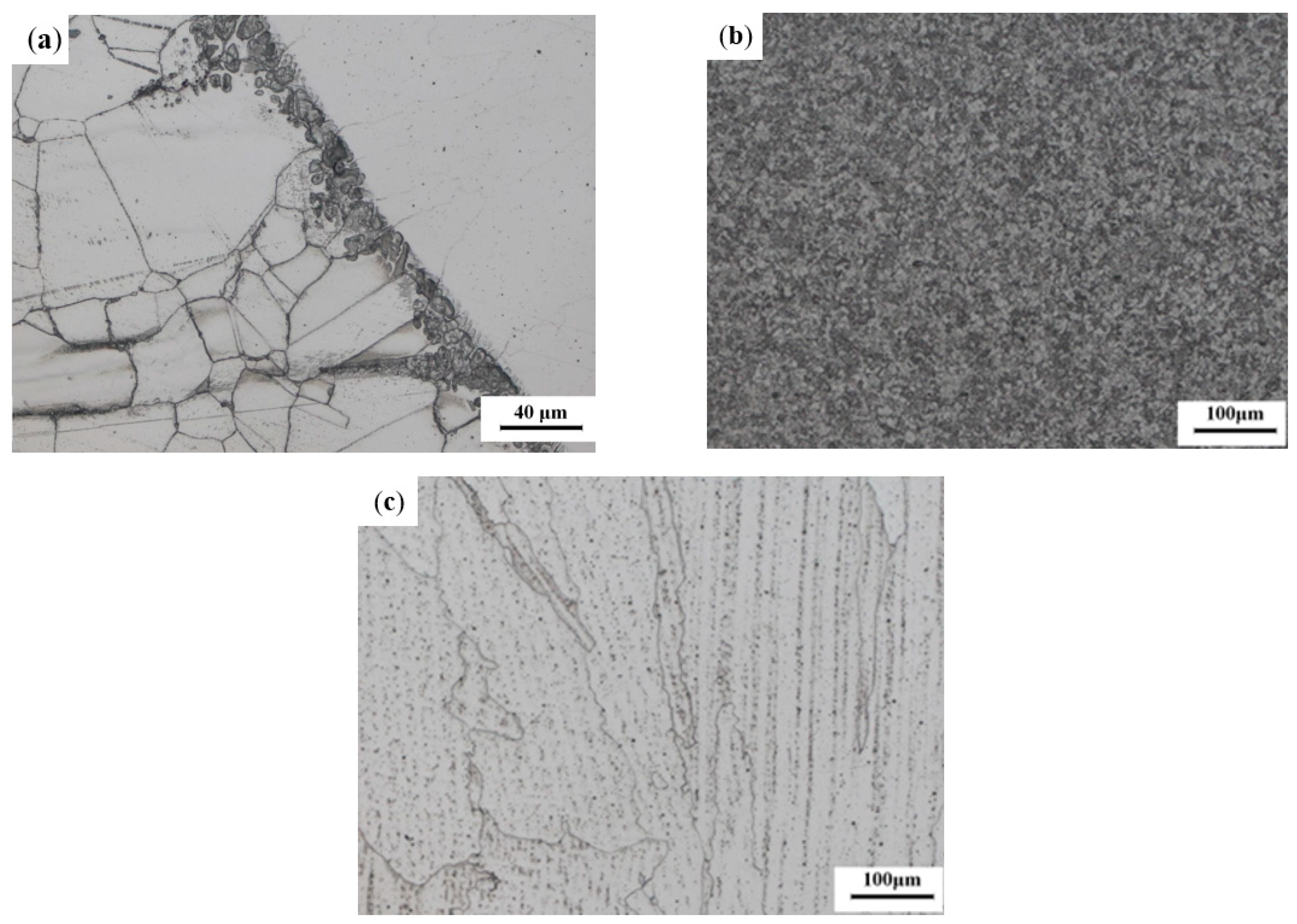 Materials 16 04474 g003