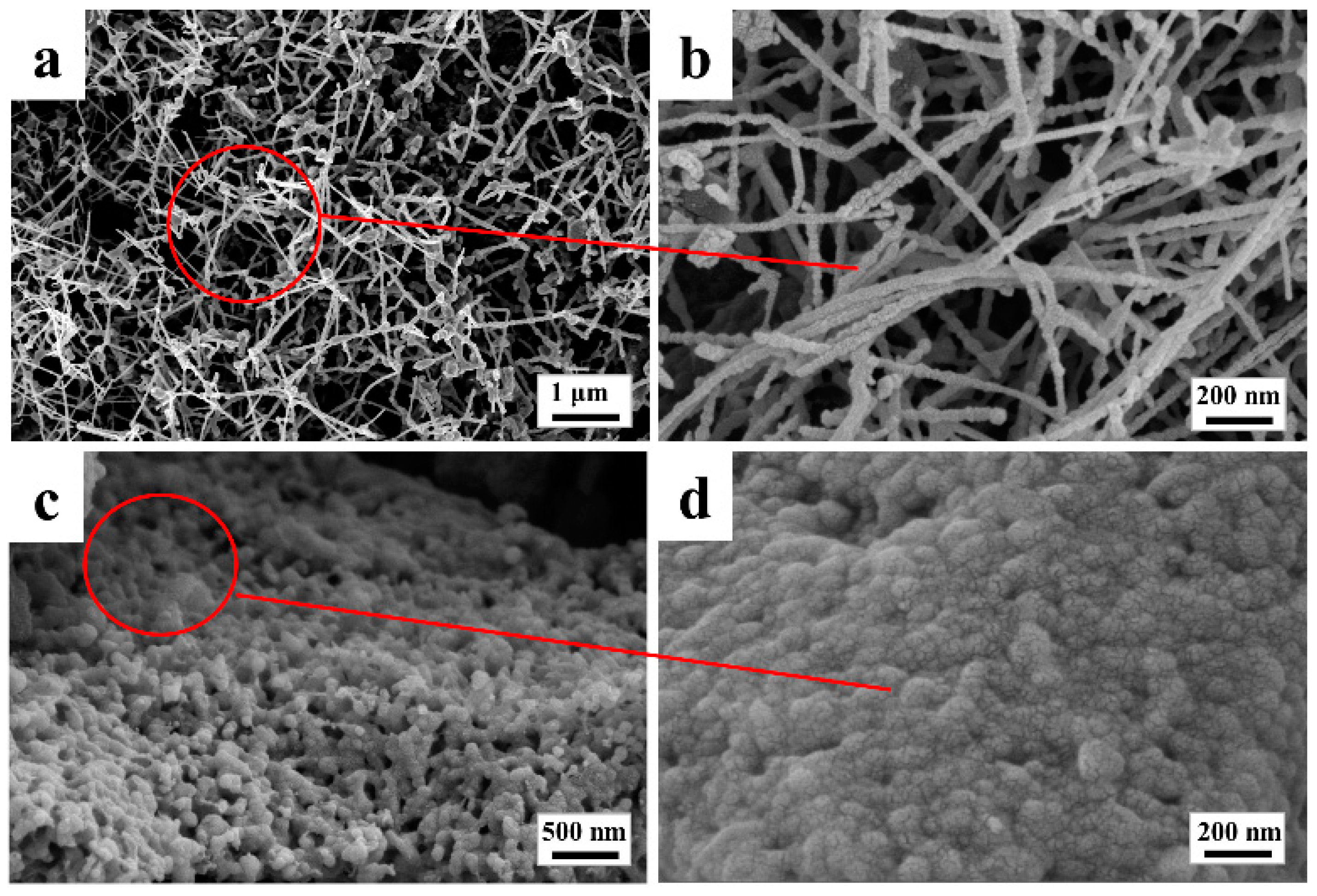 Materials 16 04487 g003