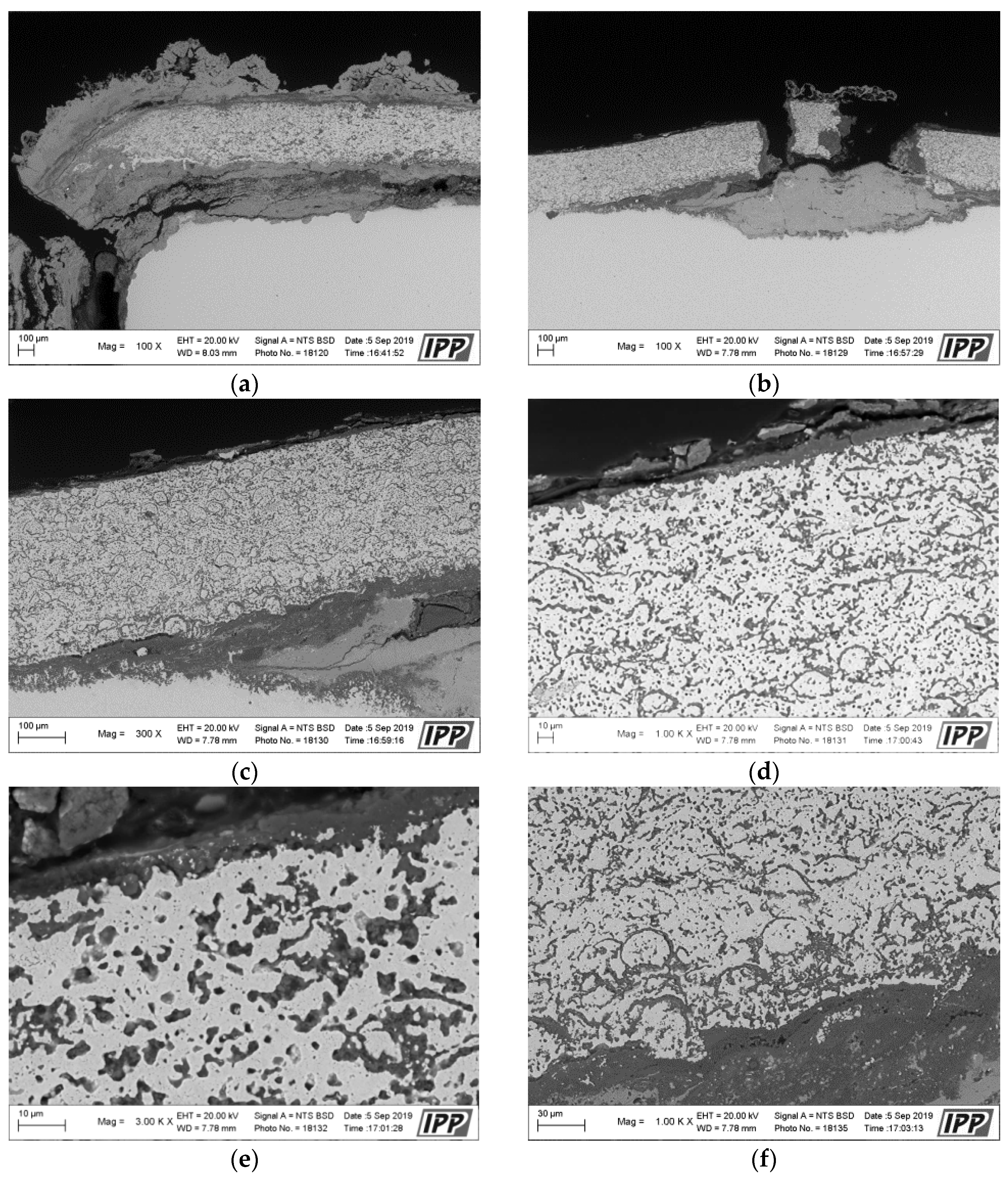 Materials 16 04492 g005 Materials 16 04492 g005