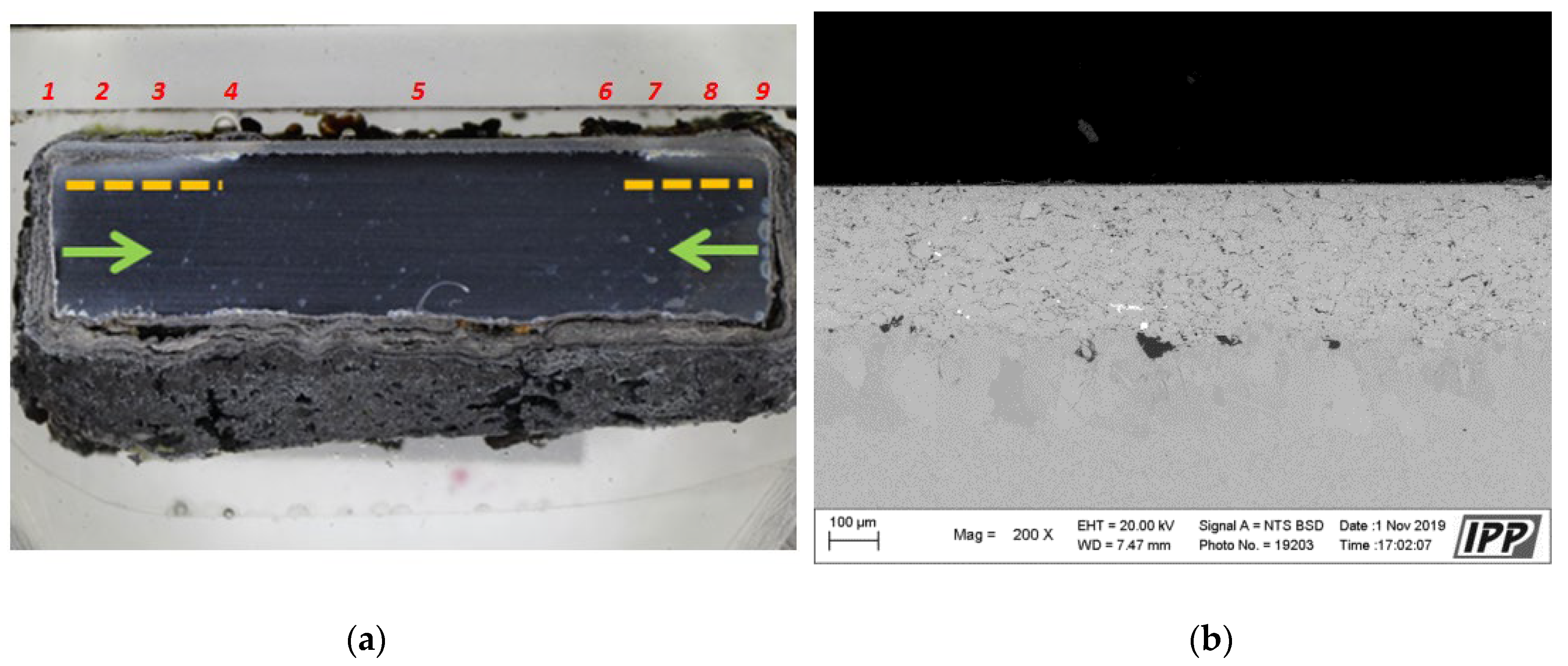 Materials 16 04492 g010 Materials 16 04492 g010