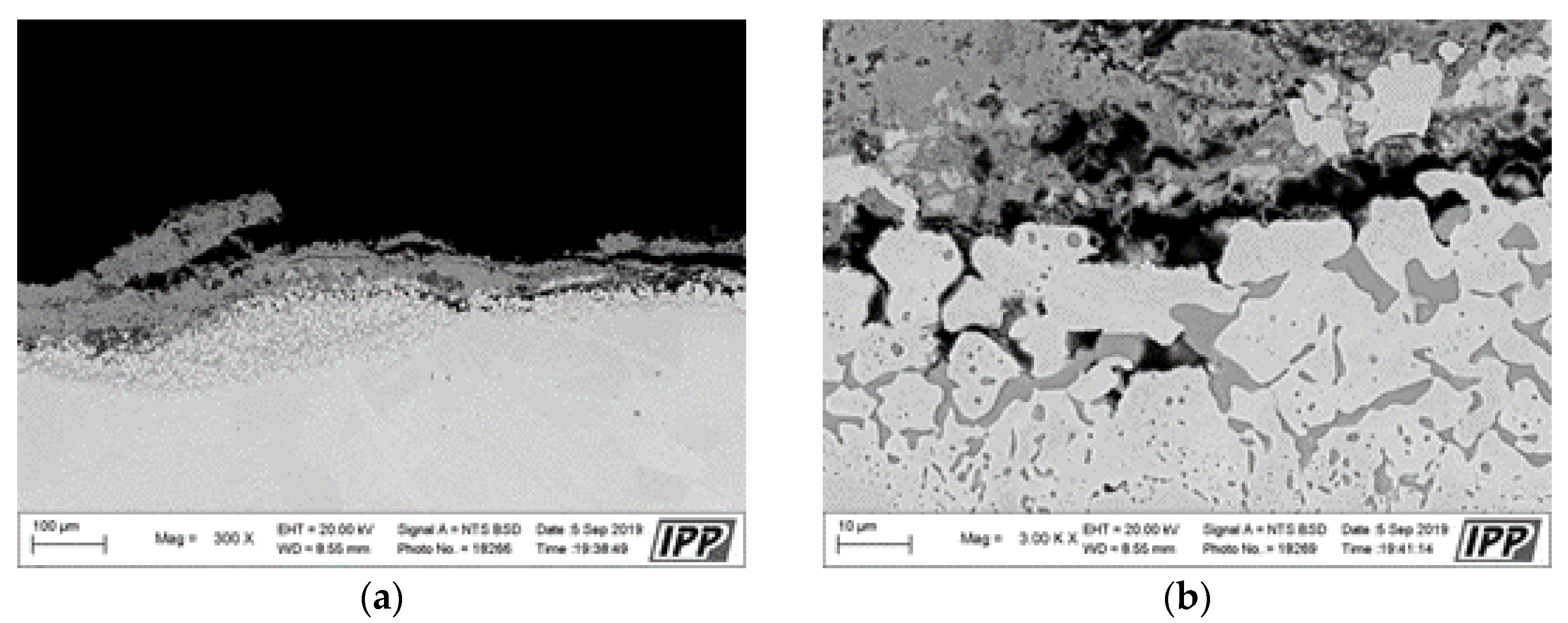 Materials 16 04492 g017 Materials 16 04492 g017