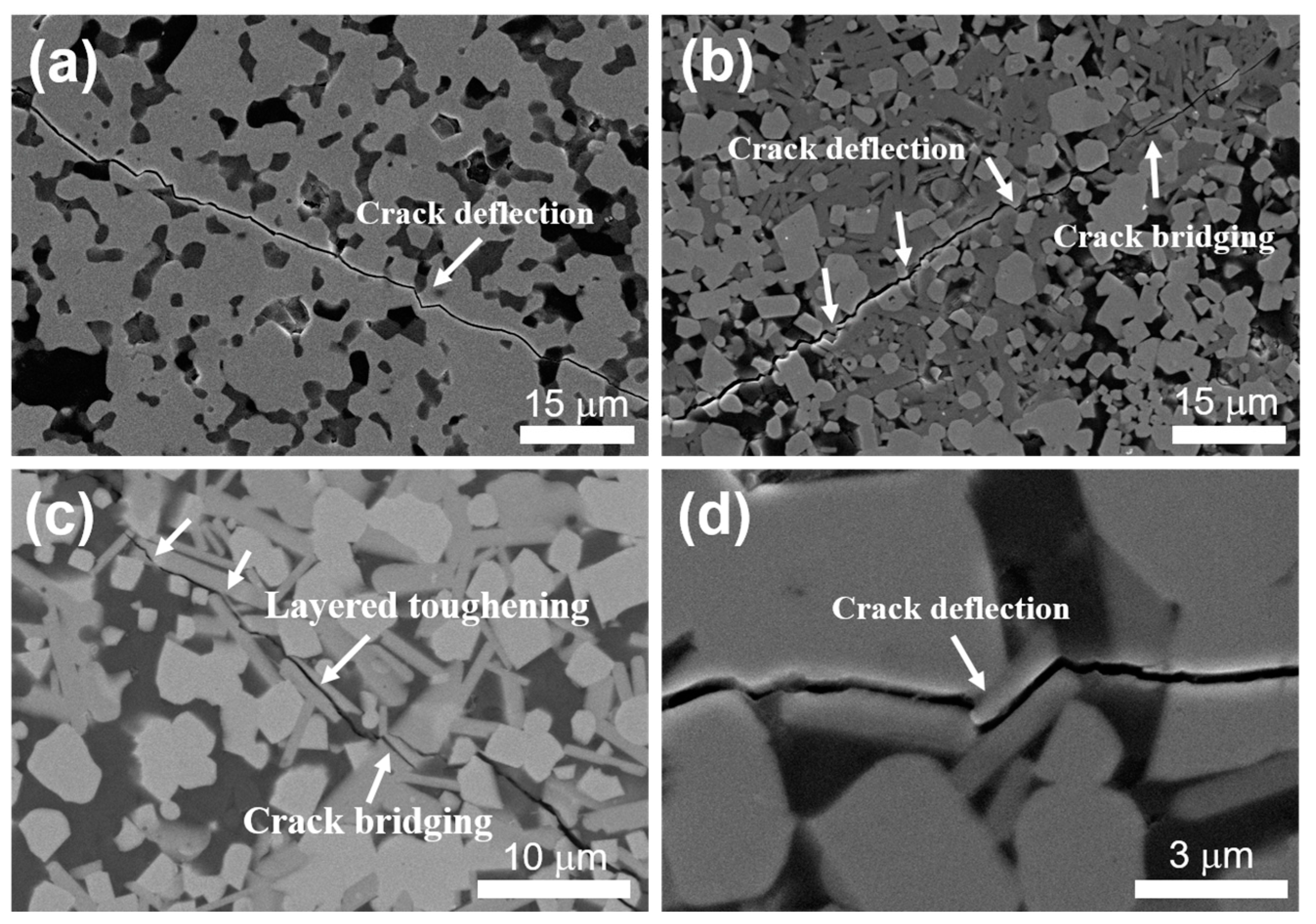 Materials 16 04495 g005 Materials 16 04495 g005